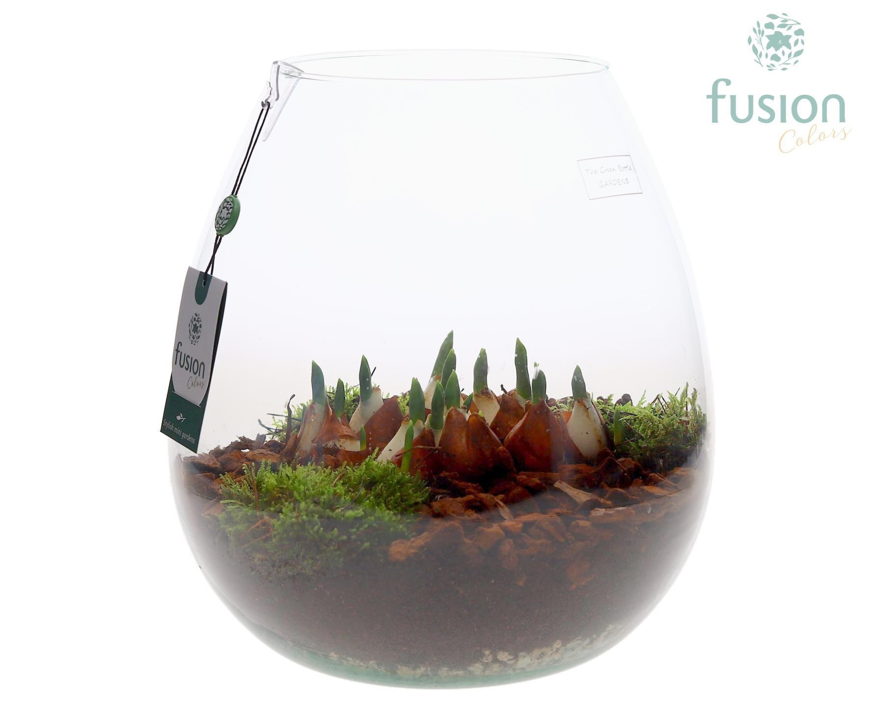 Green Bottle Abby XLarge met Tulp, D 29