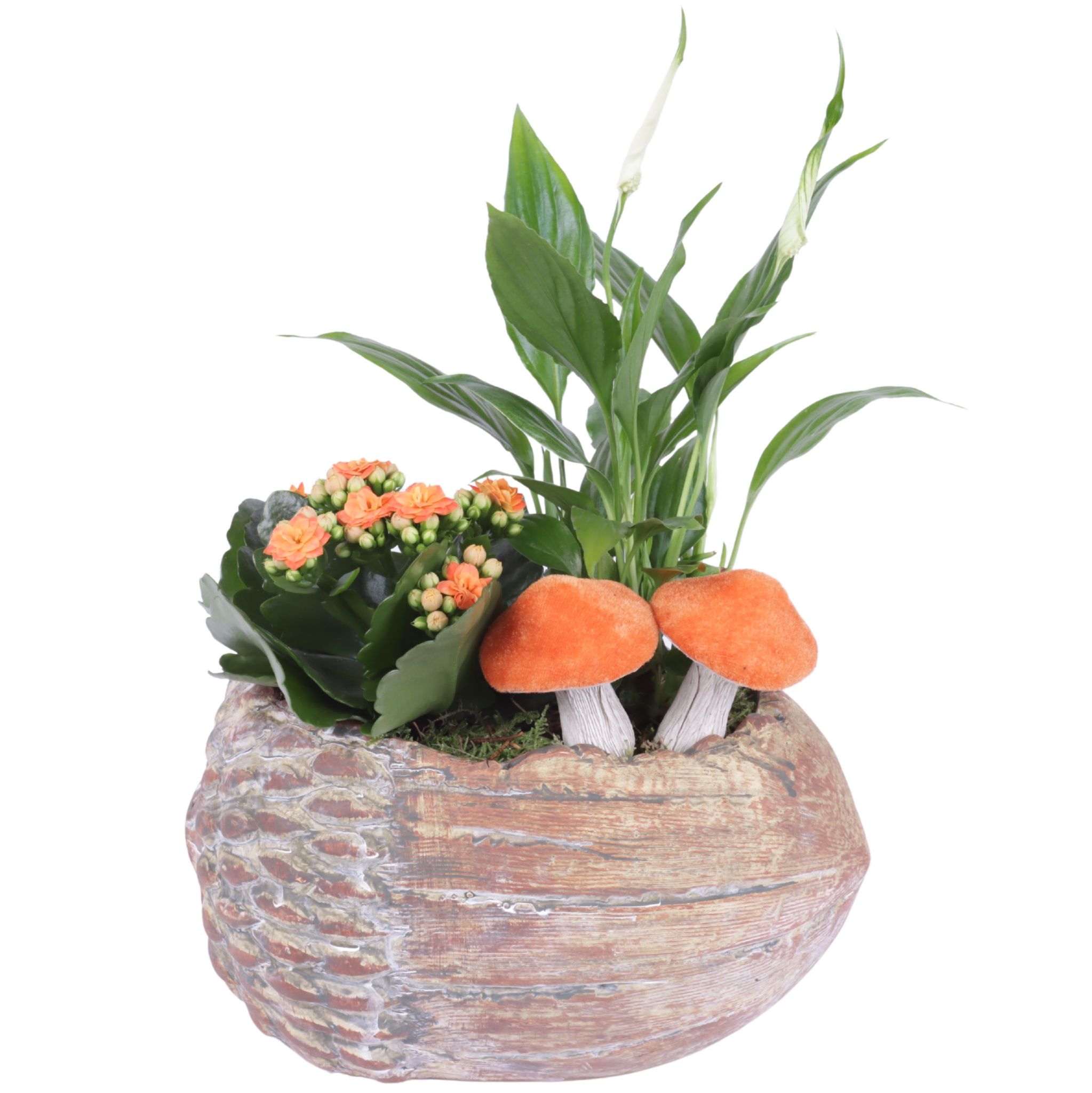 Autumn Arr. Indoor Ceramic Acorn Ø21cm 2PP, D 21 cm Autumn Arr. Indoor Ceramic Acorn Ø21cm 2PP, D 21 cm
