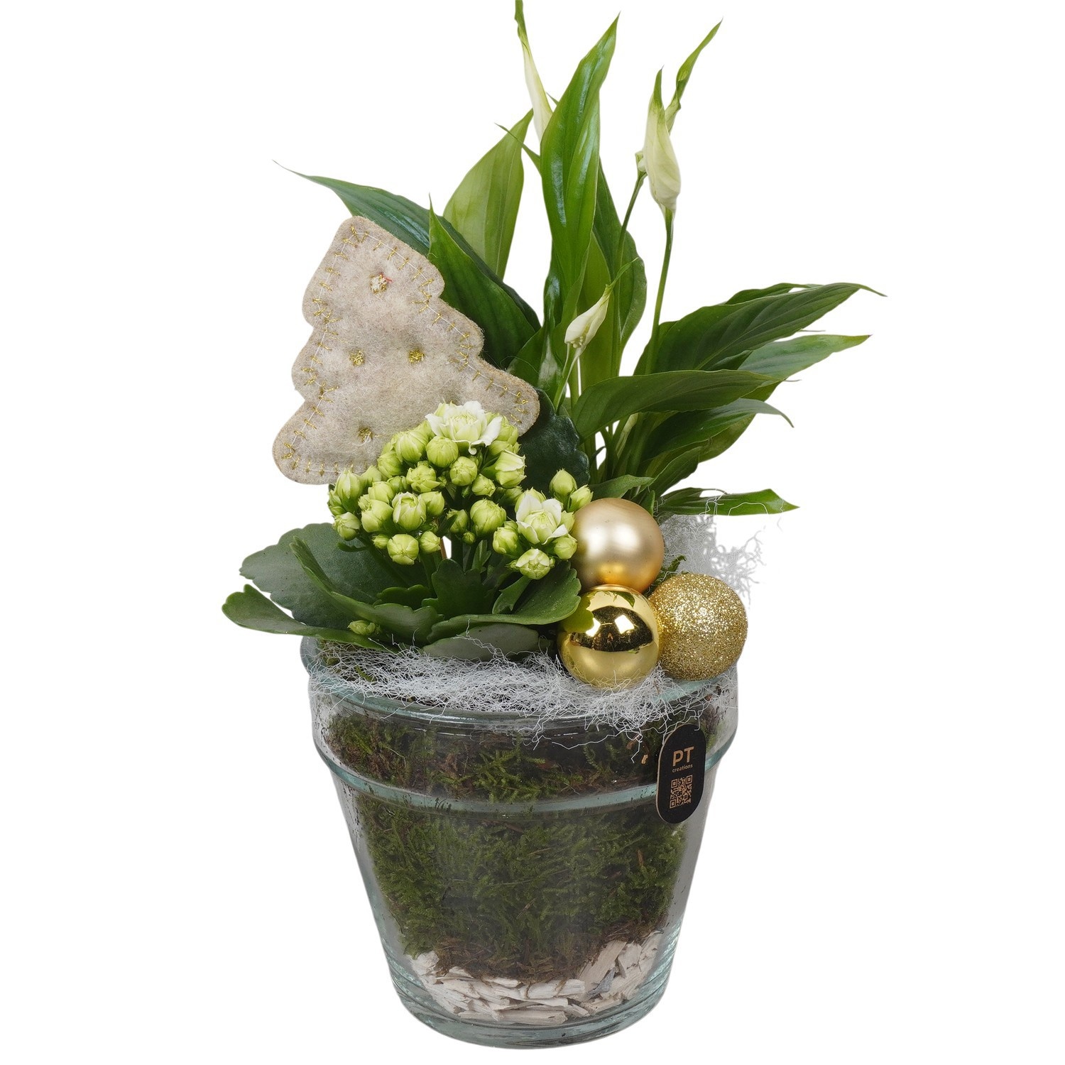 PTCHG4605 Arrangement Christmas Gold in glazen vaas, D 13