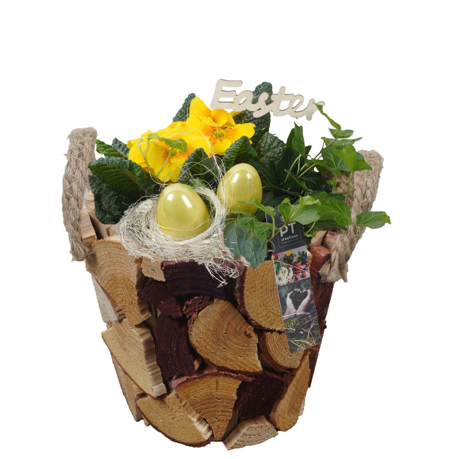 PTBMP5716 Arrangement Easter Bulbs Mix in houten pot, D 19