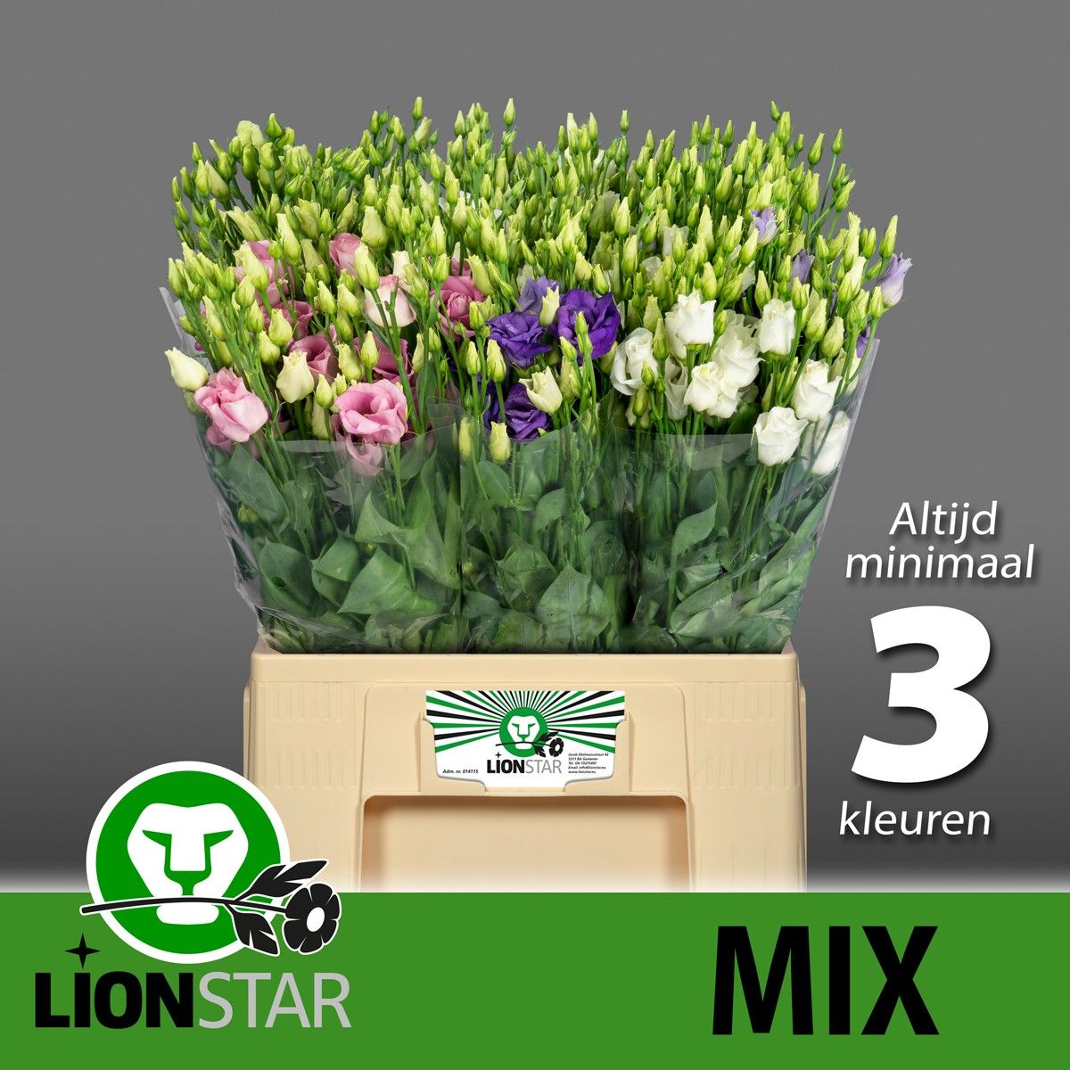 Эустома Грандифлорум Микс в баке 60, шт.