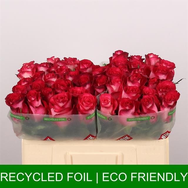 Роза од. Николетта 50, шт.