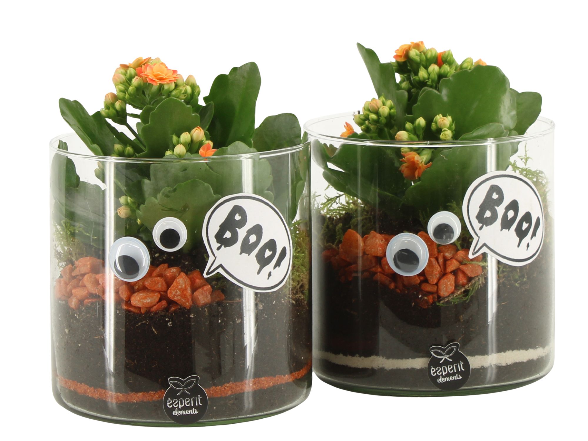 83275: Halloween arrangement, D 12 cm 83275: Halloween arrangement, D 12 cm