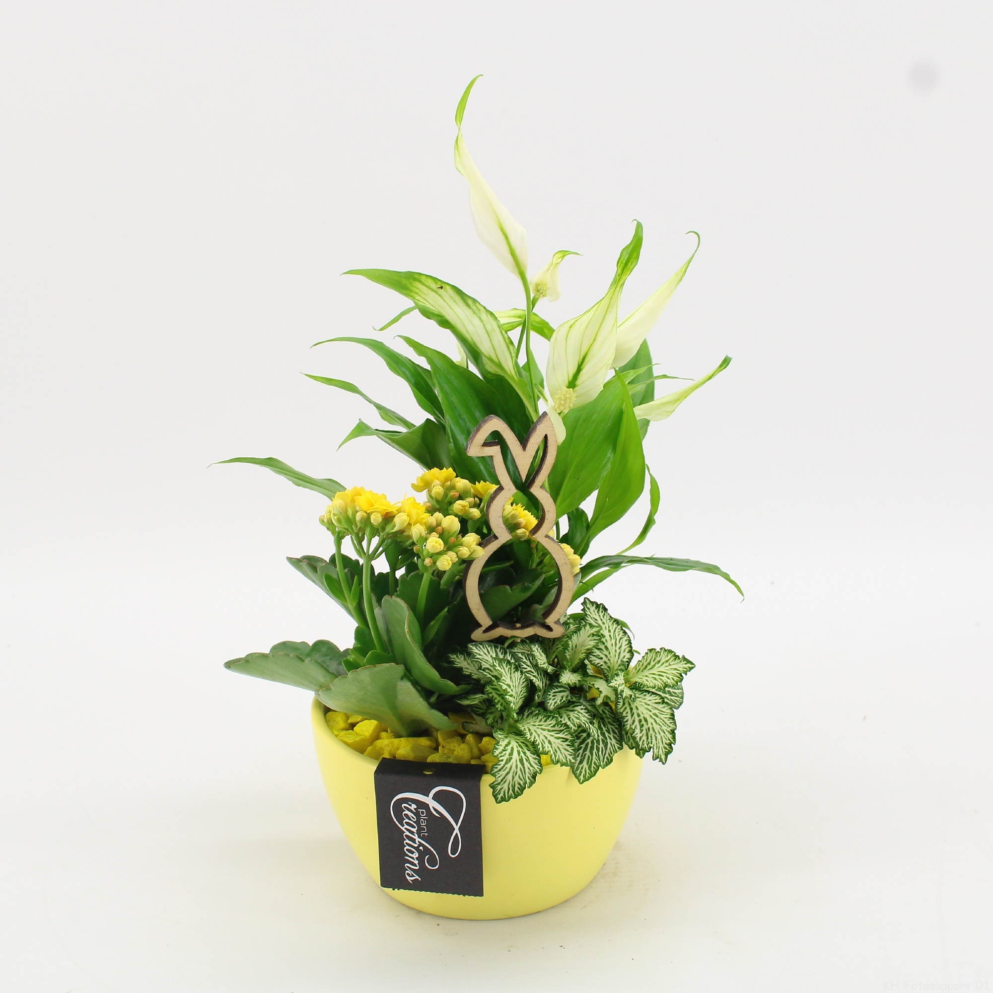 FDPS-2607 Easter Fundamentals, D 14