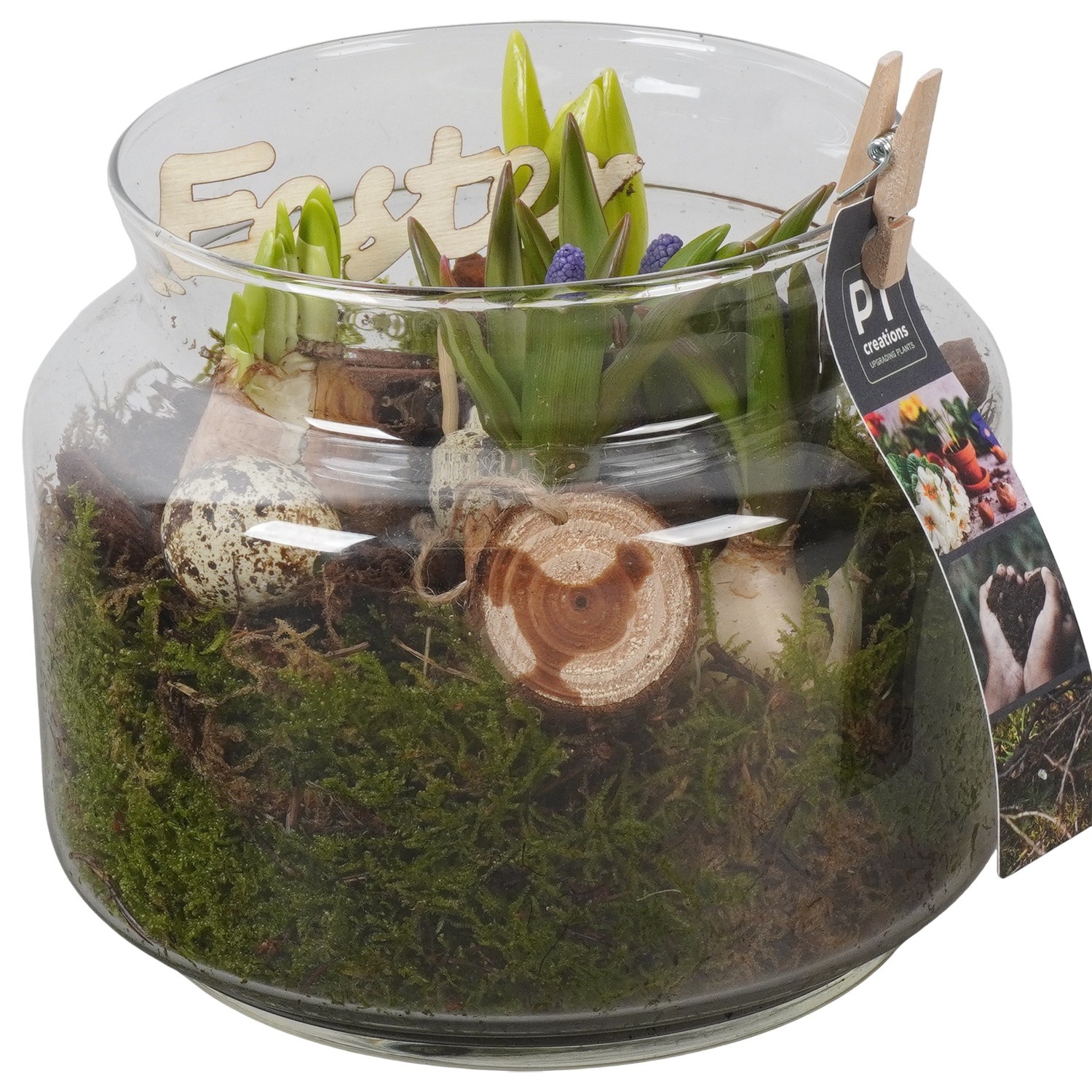 PTBMP5749 Arrangement Easter Bulbs Mix in glazen vaas, D 16