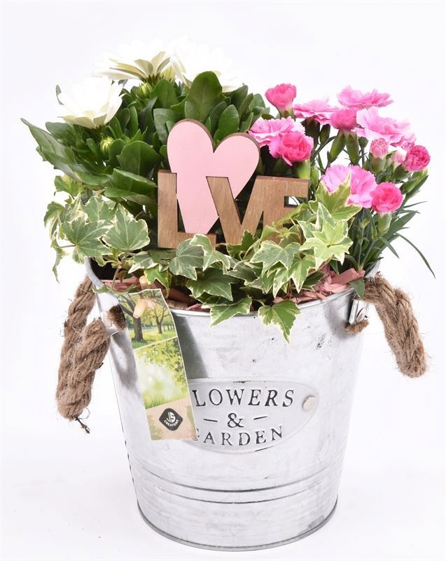 Zink emmer Flower & Garden 16 cm, D 16