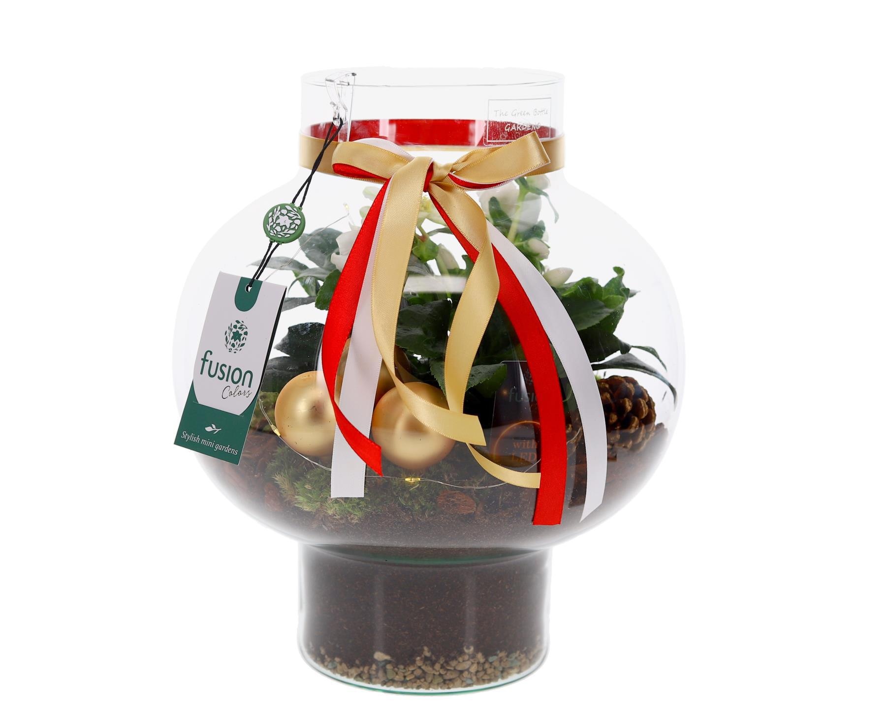 Green Bottle Laura Medium met Kerstarrangement, D 26 cm Green Bottle Laura Medium met Kerstarrangement, D 26 cm