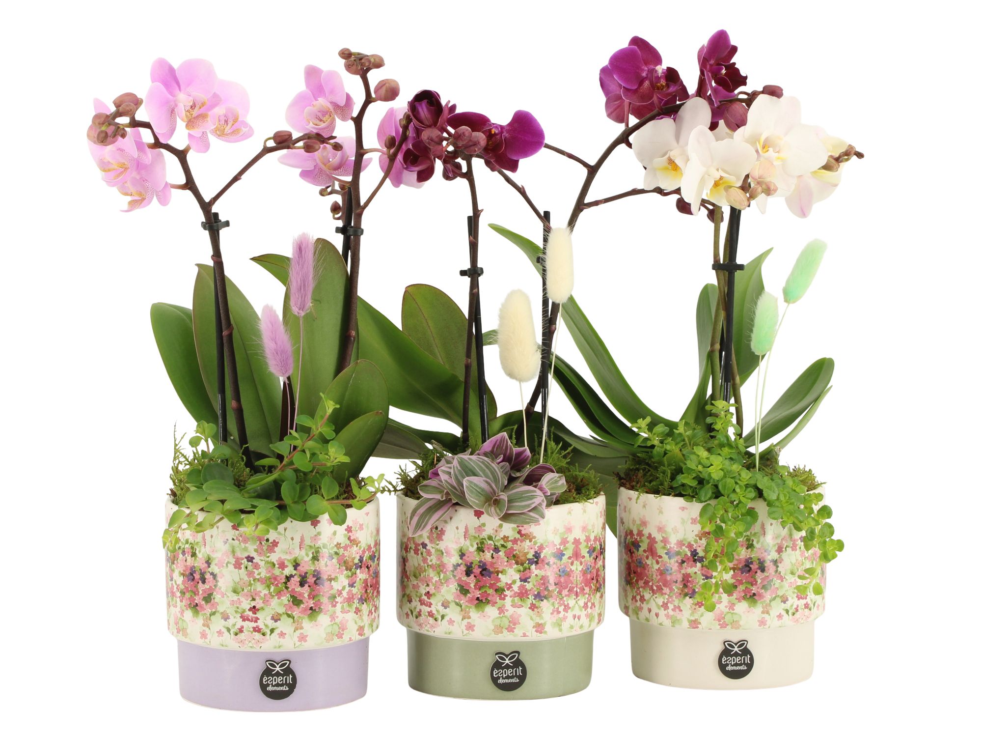 11629: Consideration arrangement, D 12 cm