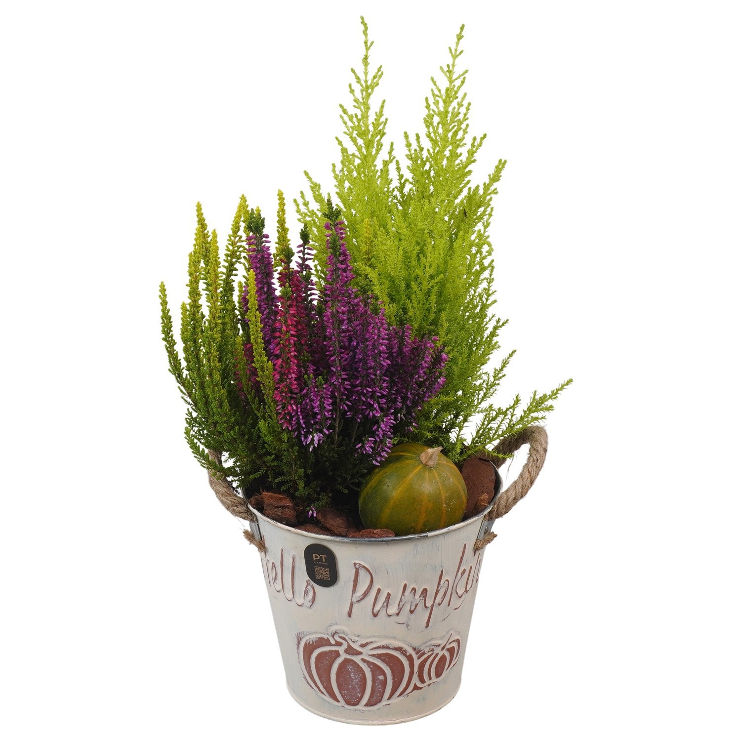 PTHO7555 Arrangement Autumn Outdoor in metalen pot, D 16