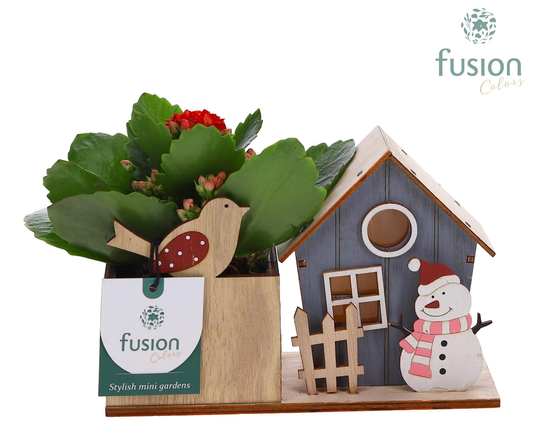 Kerst planter hout met verlichting met Kalanchoe, D 18 cm