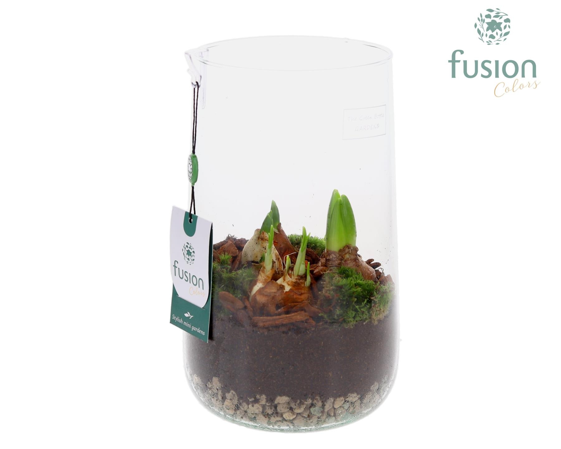 Green Bottle Deline Large met Bollen mix, D 15