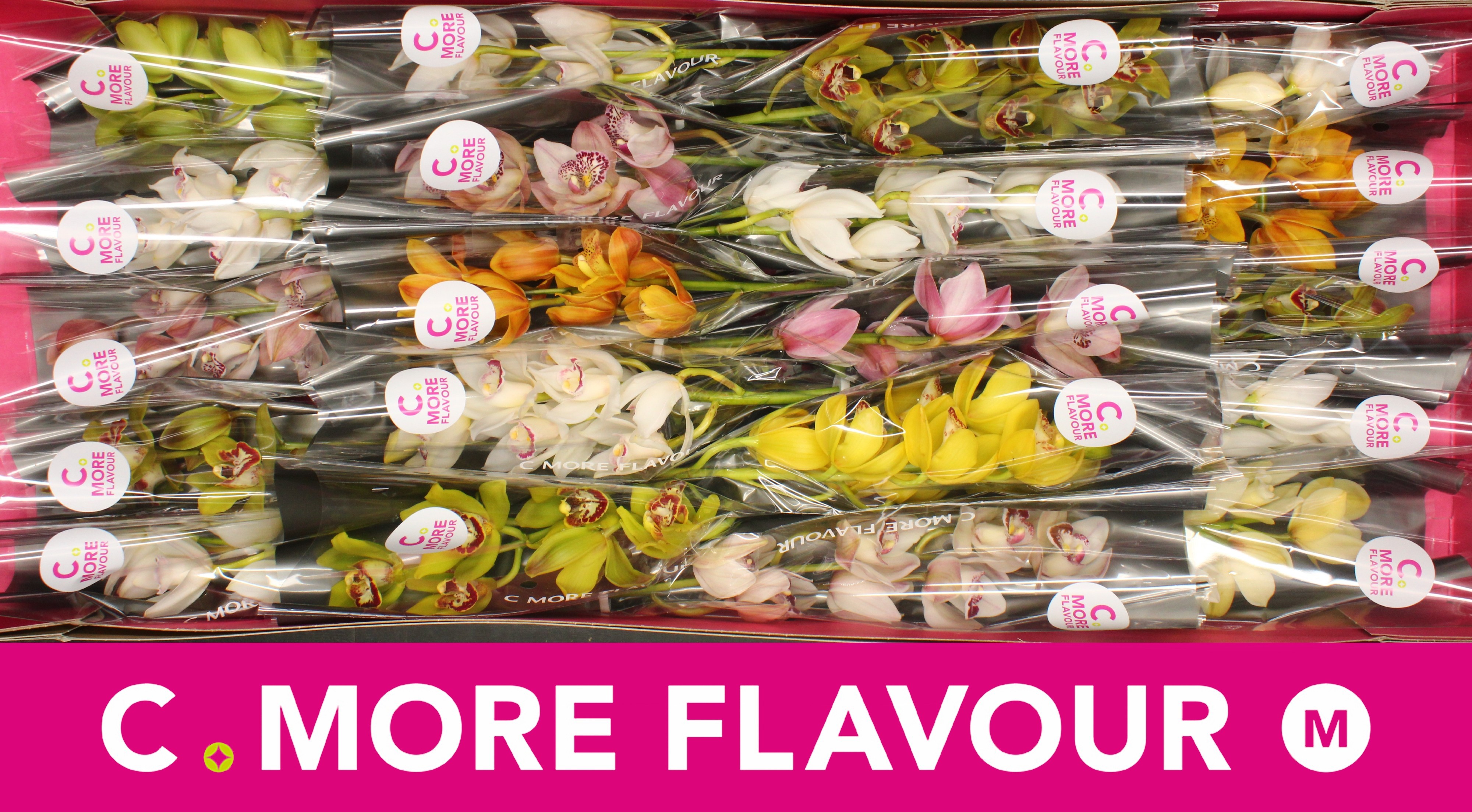 Цимбидиум мини Микс x20 40, шт. Цимбидиум мини Микс x20 40, шт.