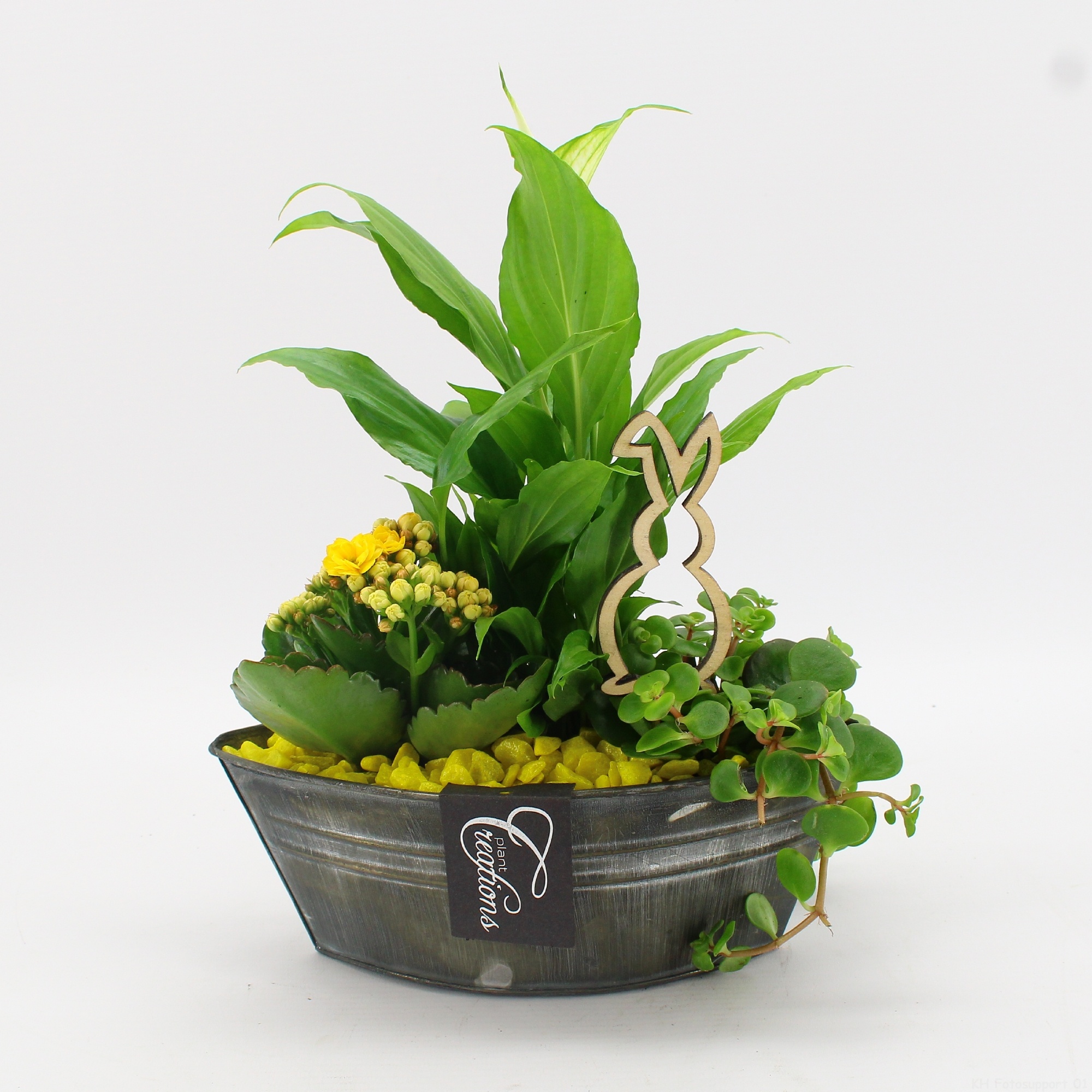 FDPS-2614 Easter Fundamentals, D 22