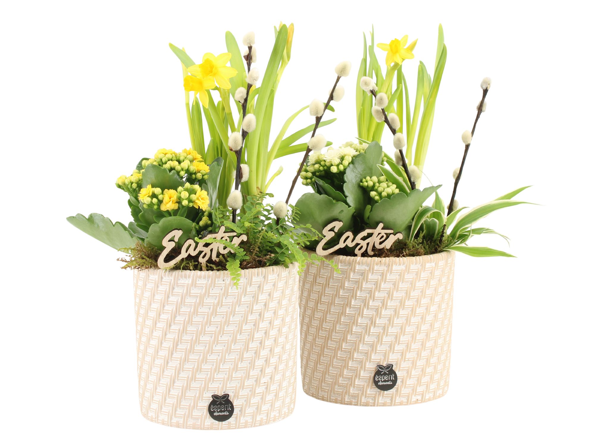 70796: Easter arrangement, D 13