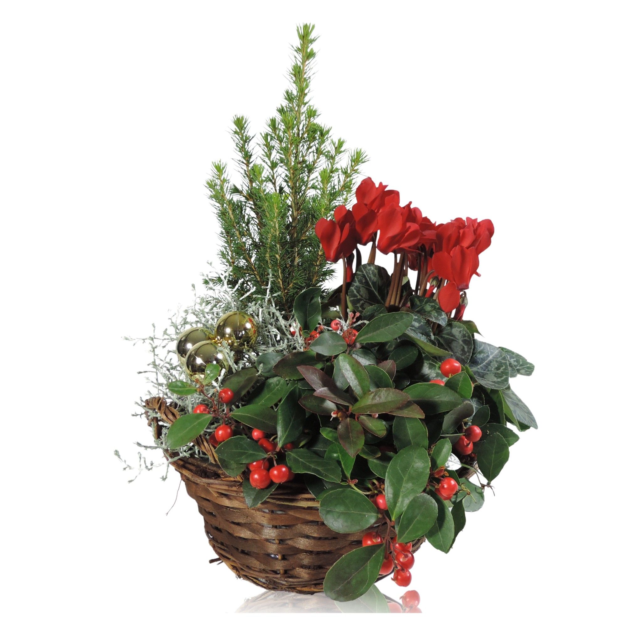 Collectie Hanoi Winter Specials in Mand 25 cm Kerst, D 25