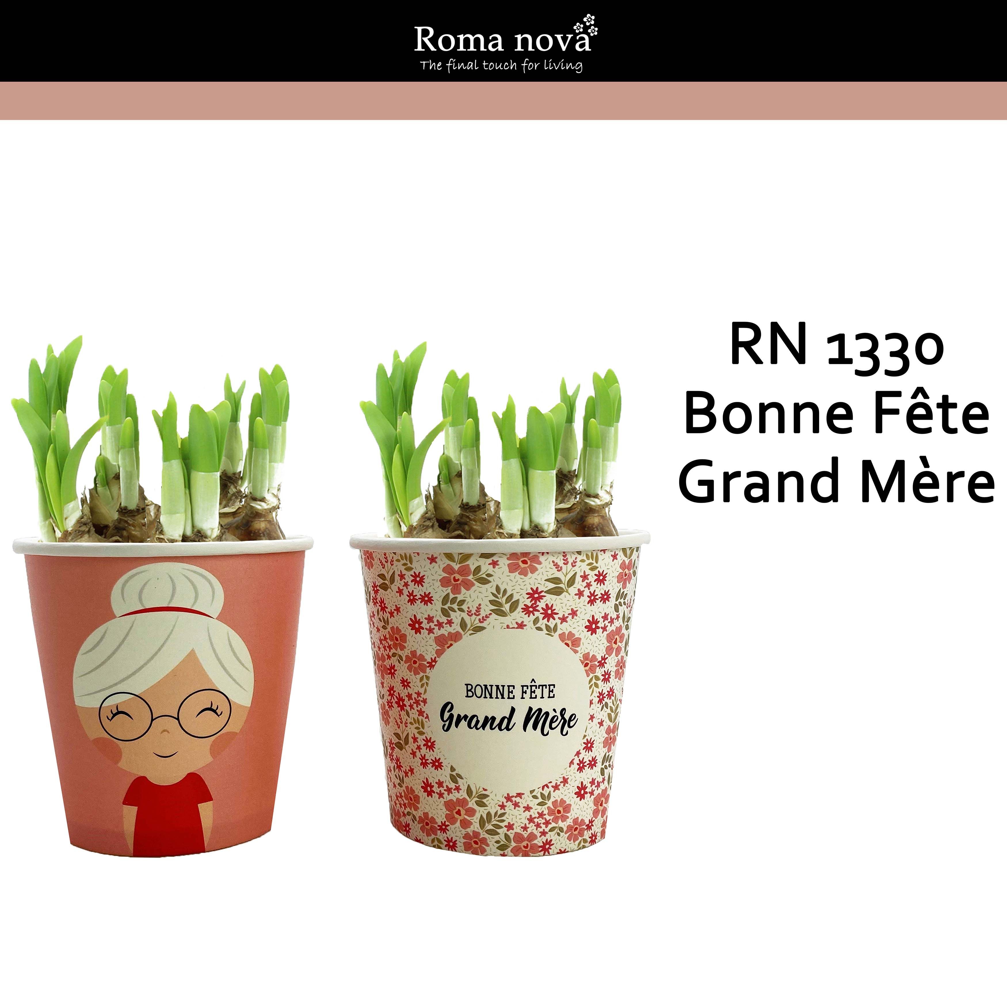 1330 - Bonne Fête Grand Mère P12 (Tete a Tete), D 12 cm