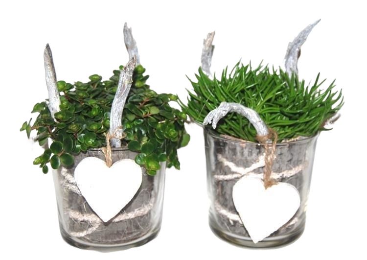 533 GF Cilinderglas 'Green Forrest' mix 13cm, D 13