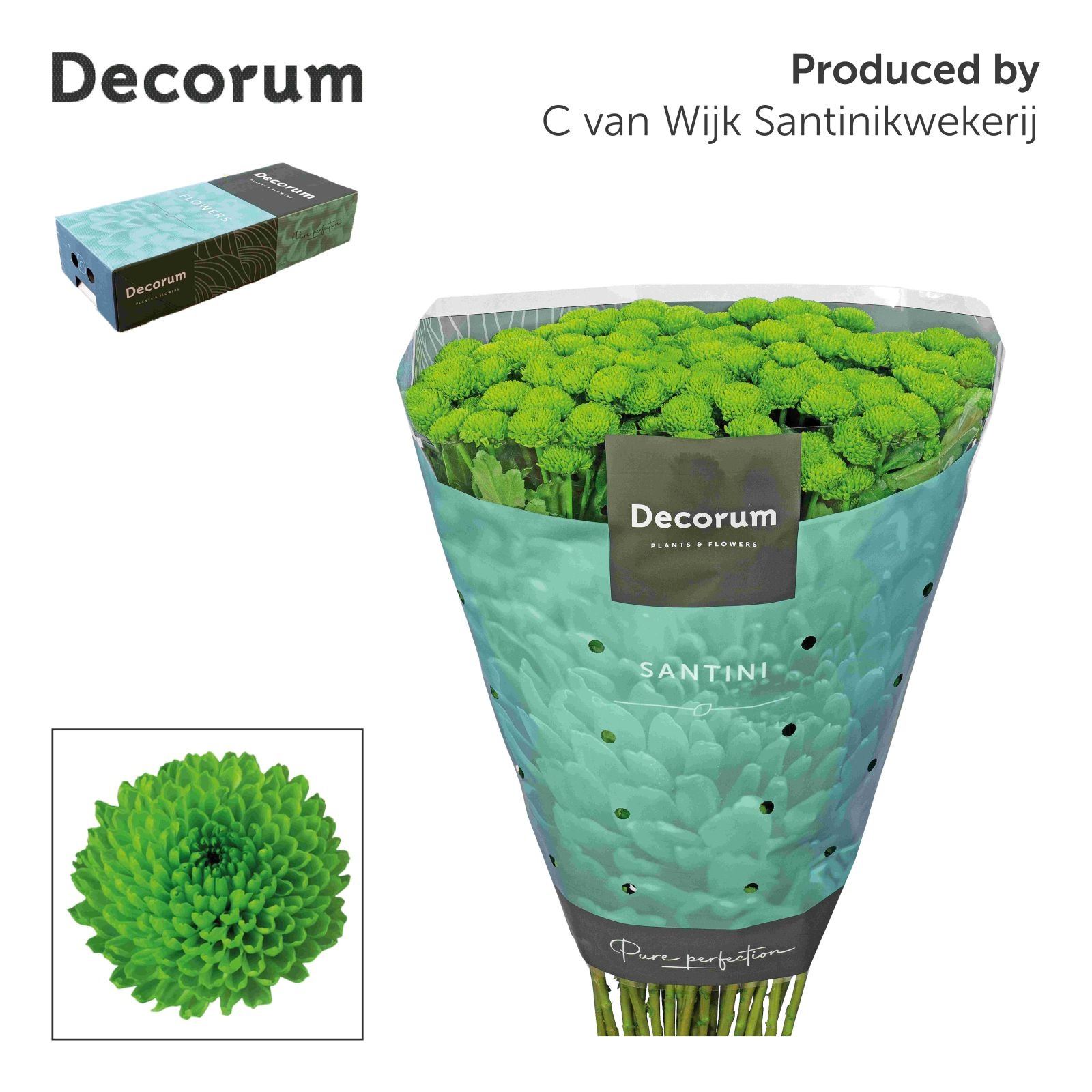 Сантини Кантри, шт.