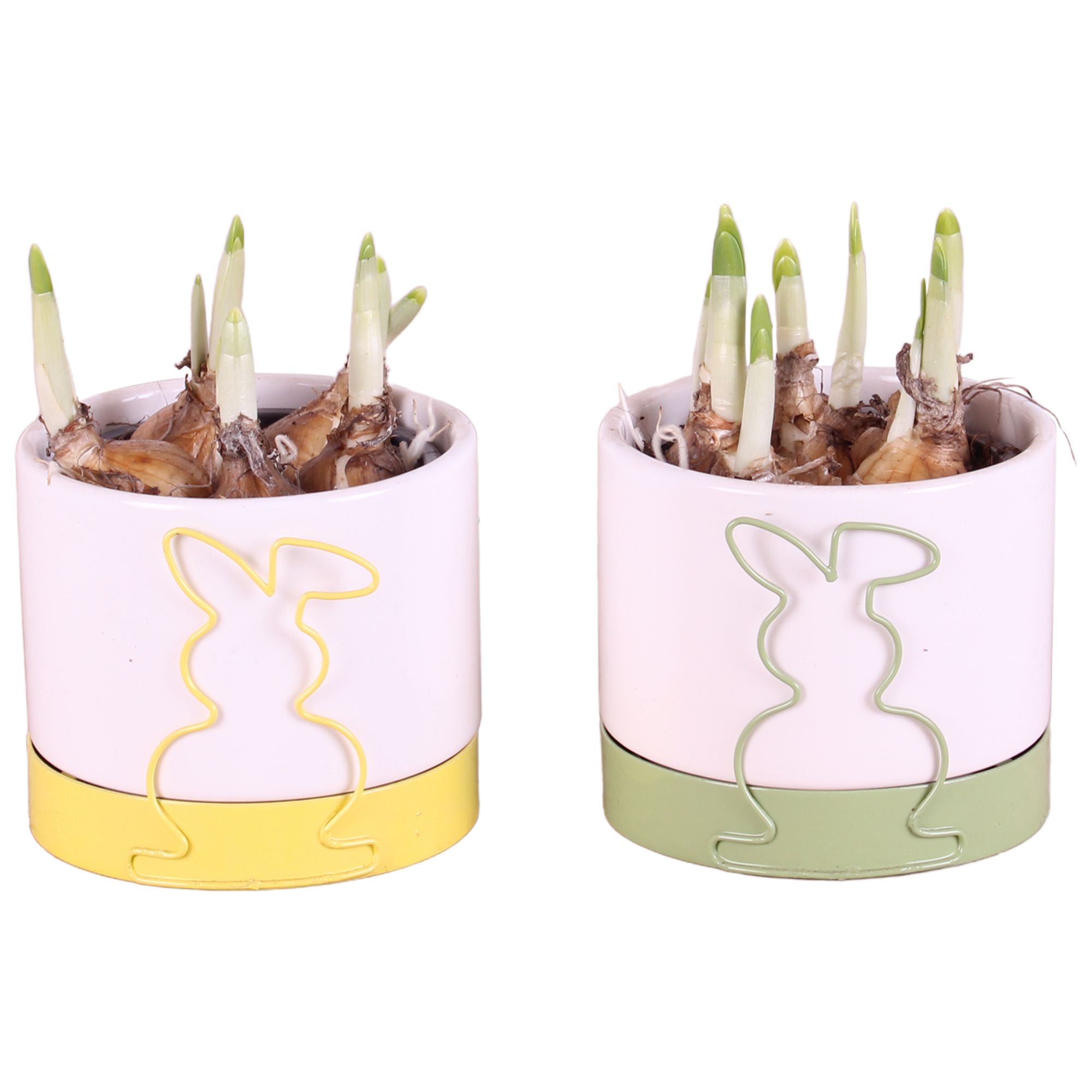 Easter Arr. Narcis Ceramic Rabbit Frame Pot Yel/Grn Ø10cm, D 10
