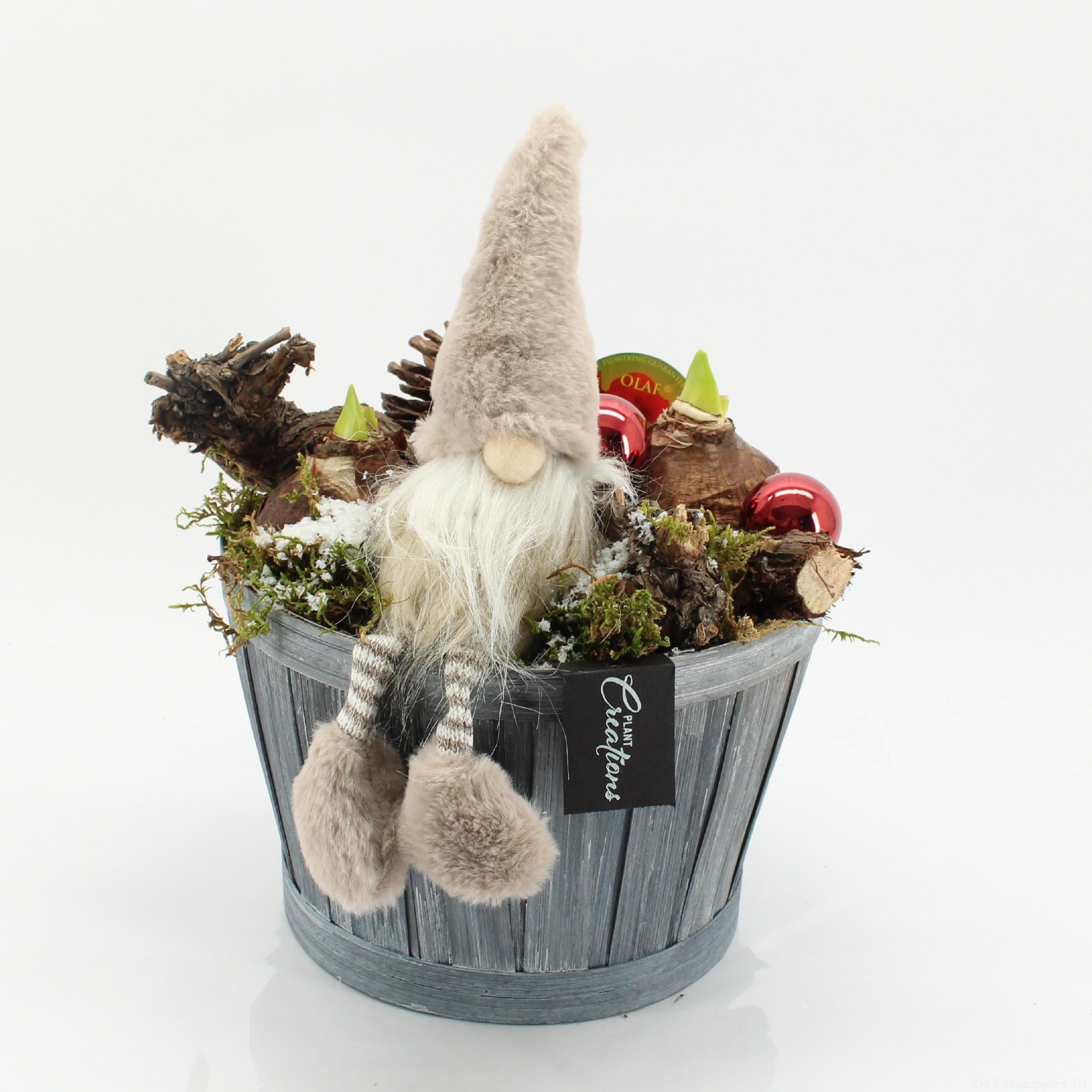 HICR-2533R Kerst Amaryllis, D 23 cm