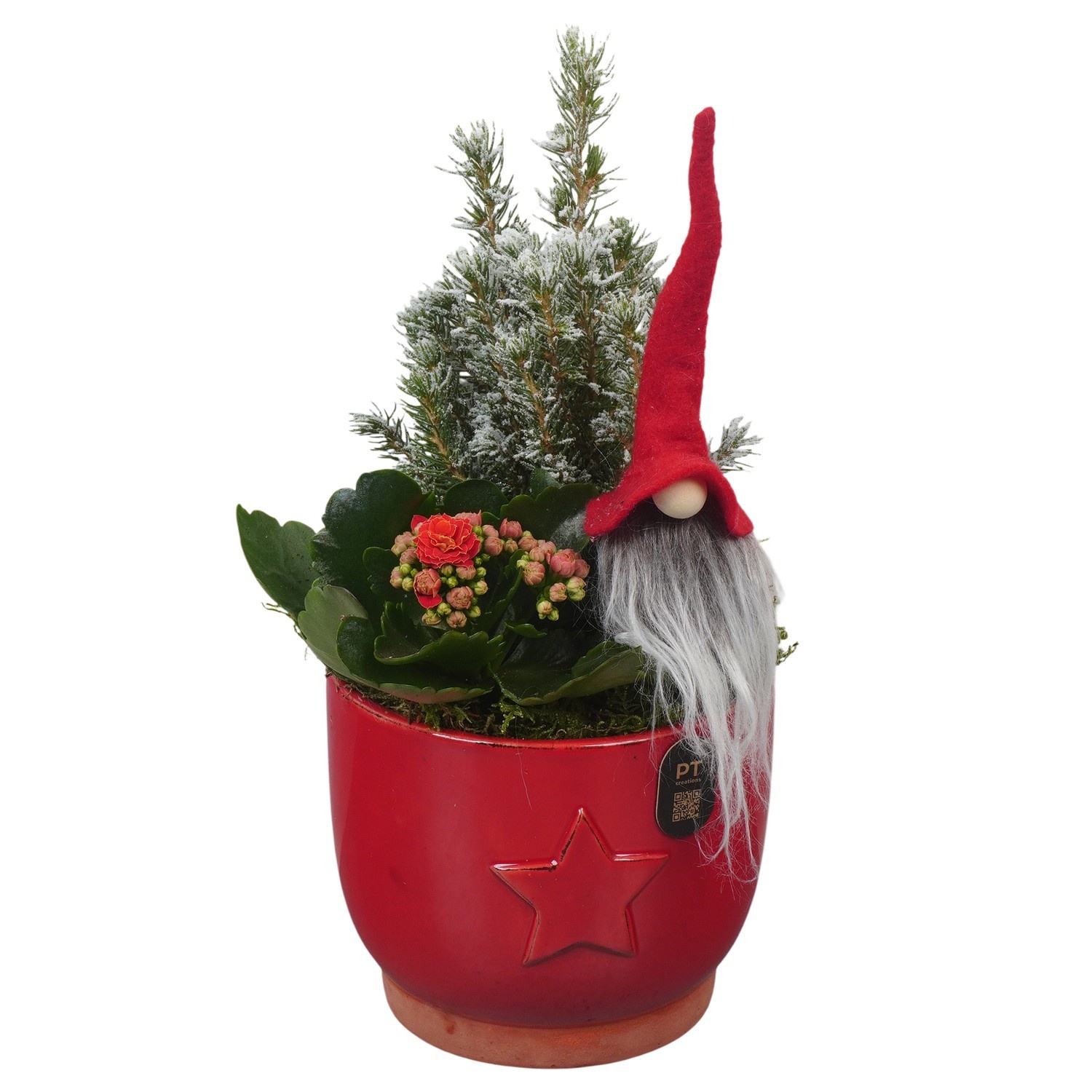 PTCHR9545 Arrangement Christmas Red in keramiek pot, D 13