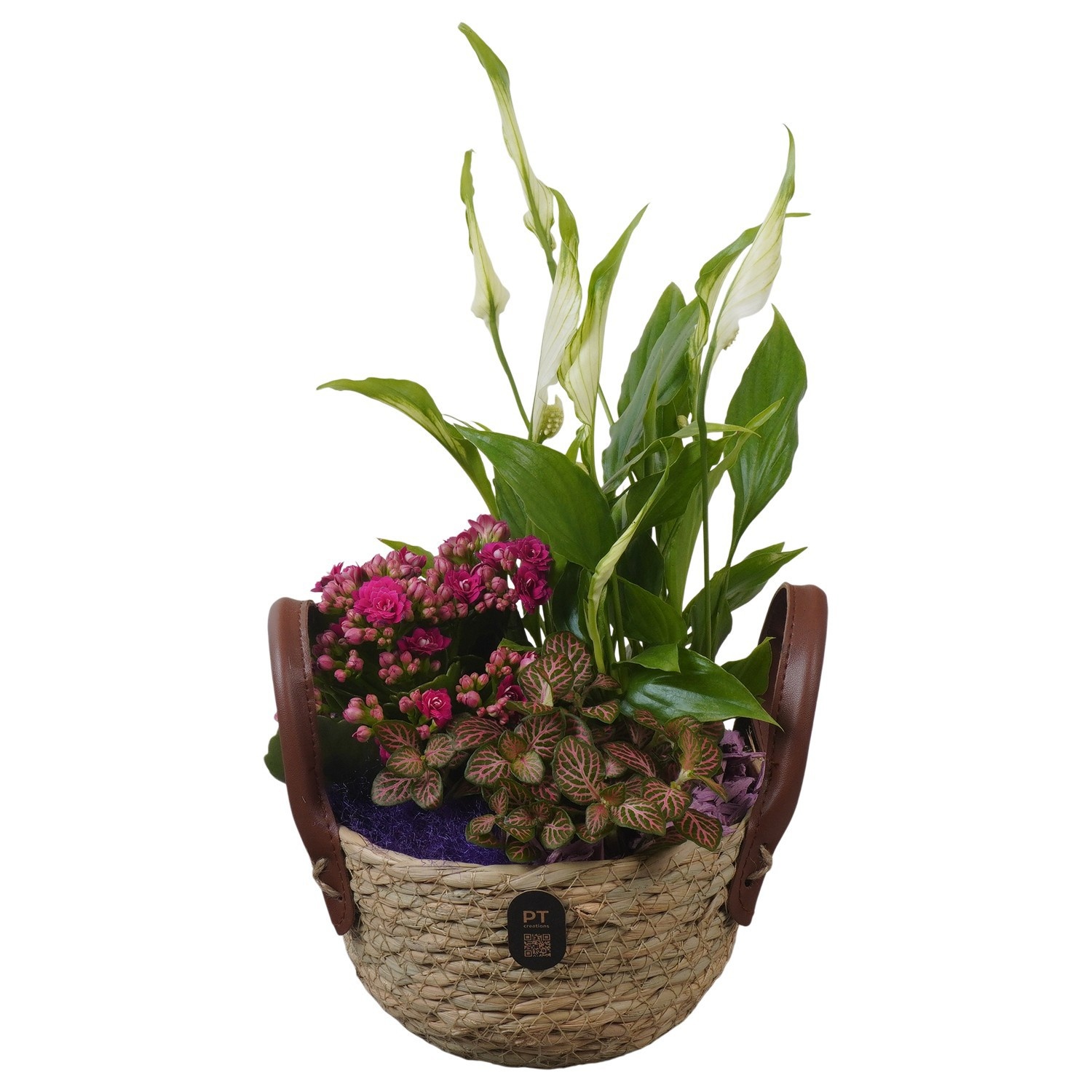 PTIB5233 Arrangement Indoor in rieten mand, D 15