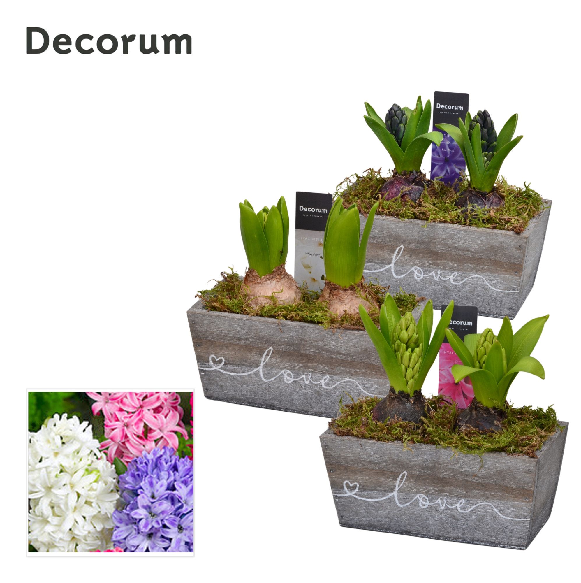 Hyacint Wooden Love HL13250 [PURE], D 17