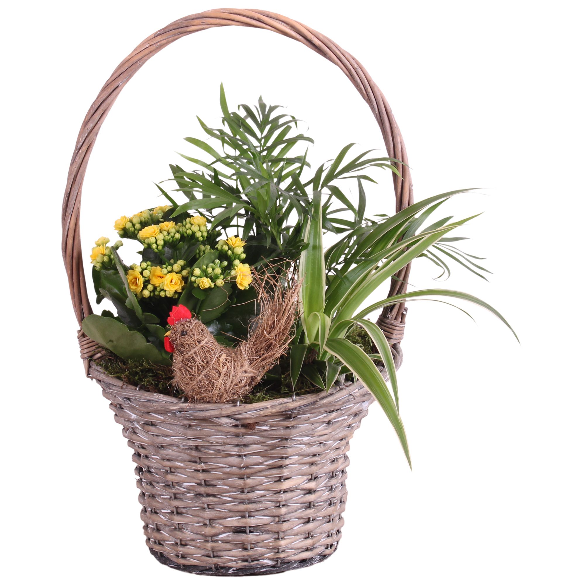 Easter Arr. Indoor Willow Handle Basket Ø23cm 3PP, D 24