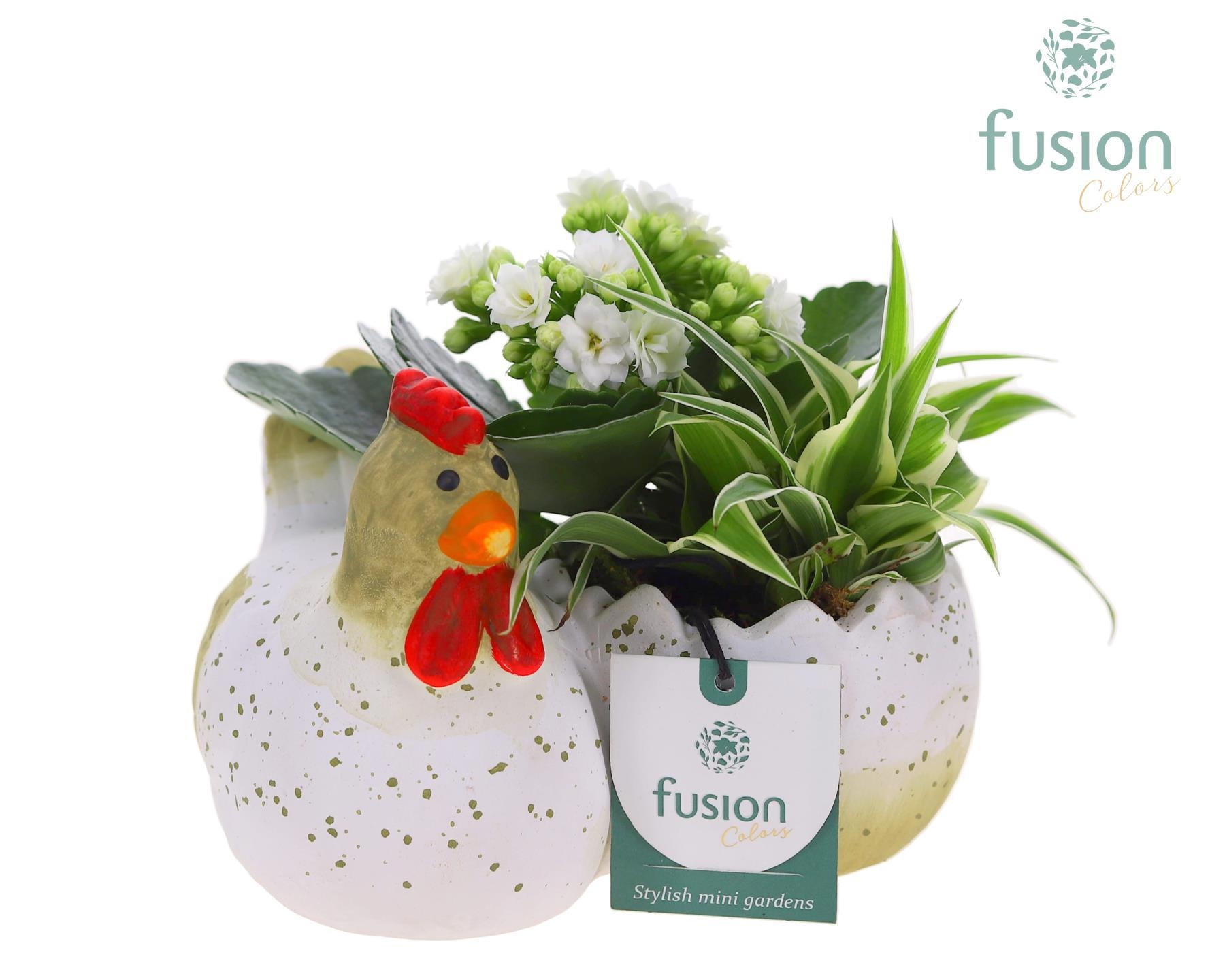 Kip keramiek Pasen met arrangement, D 16