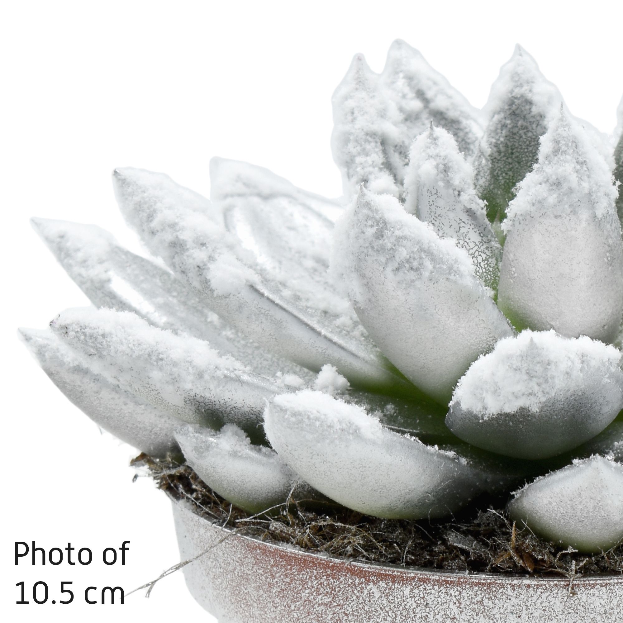 Miranda coloured silver + snow, D 12