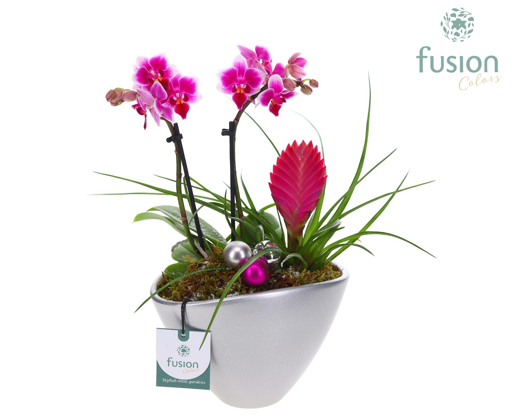 Pot keramiek Ovaal Kerst met Arrangement, D 19