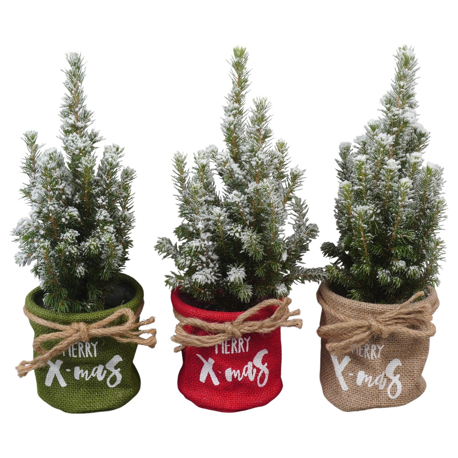 PTK26146 Conica Perfecta met sneeuw in jute mix, D 11