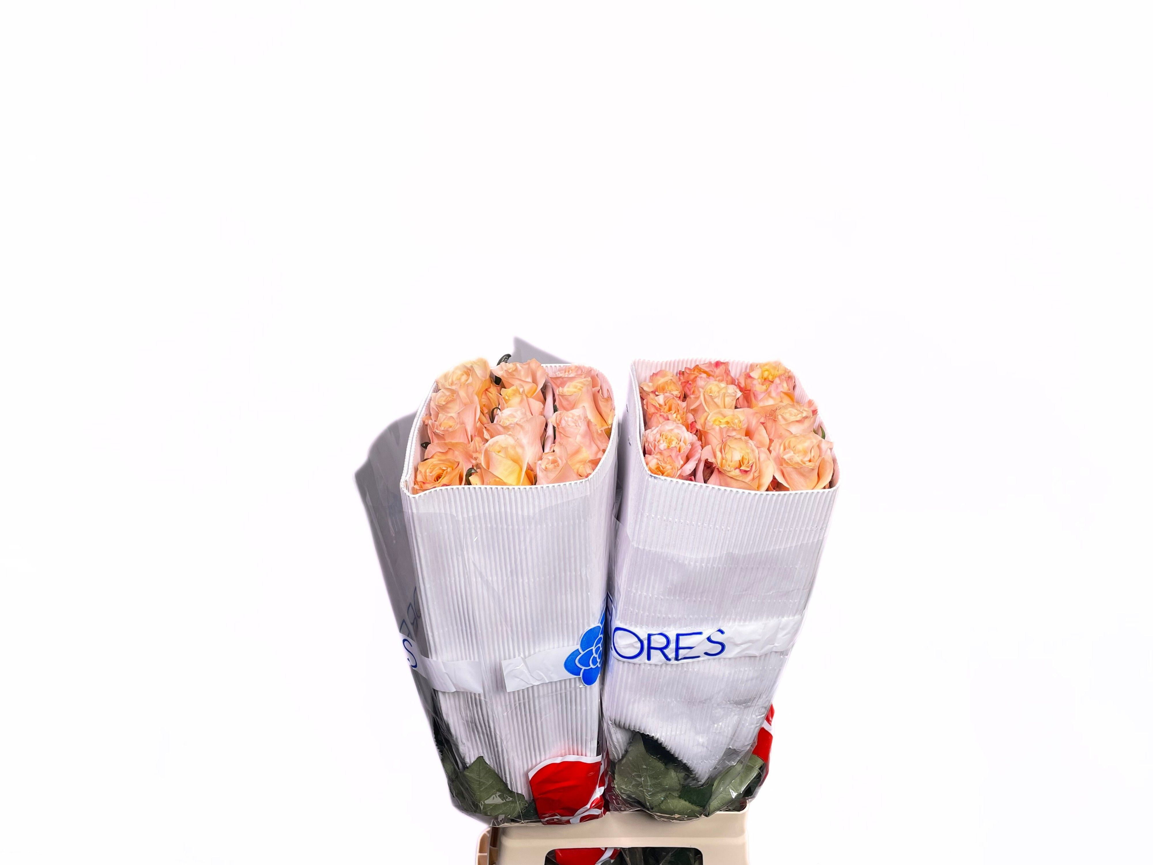 Роза од. Шиммер 70 (светло-роз.), шт. Роза од. Шиммер 70 (светло-роз.), шт.