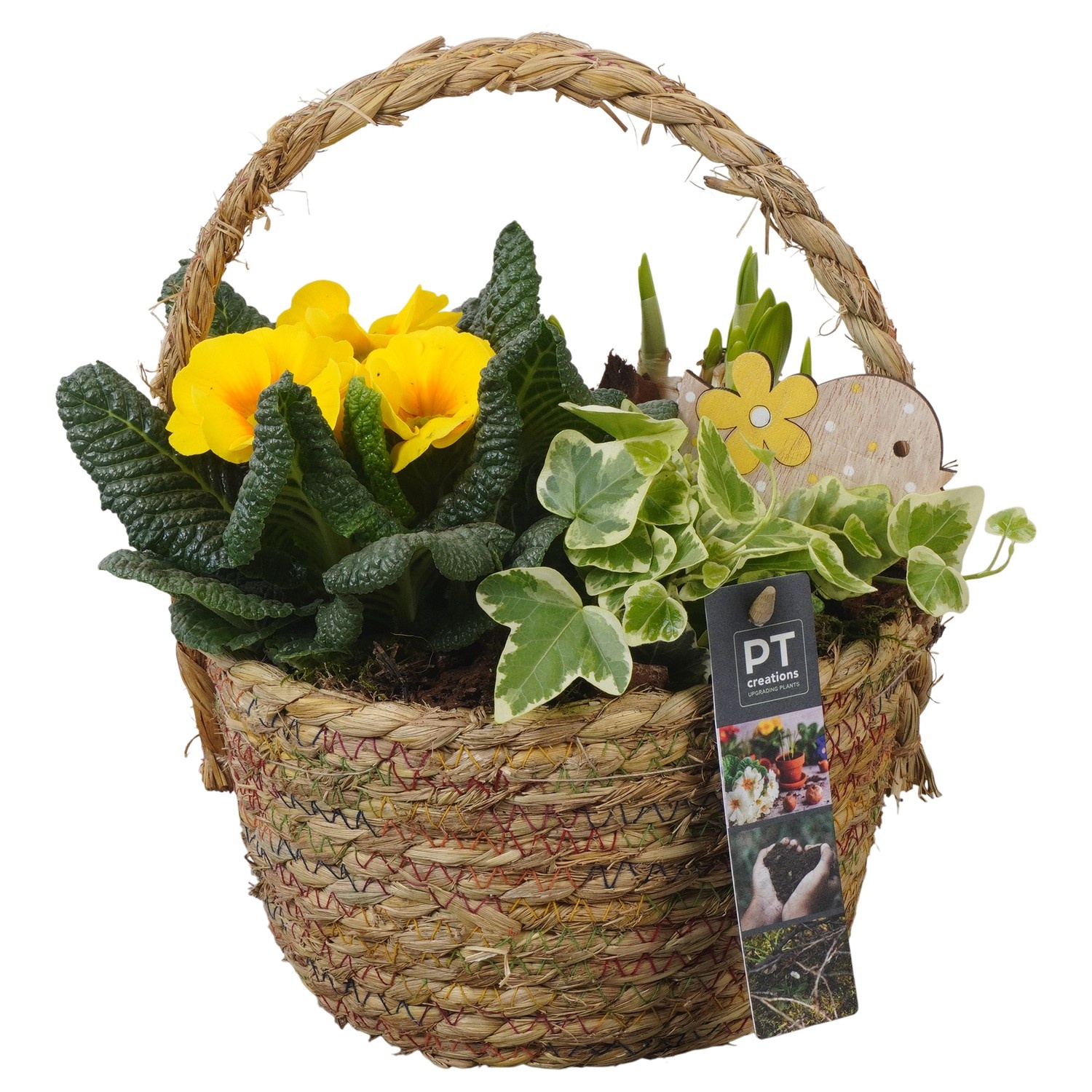 PTBM3802 Arrangement Flower Bulbs Mix in rieten mand, D 18