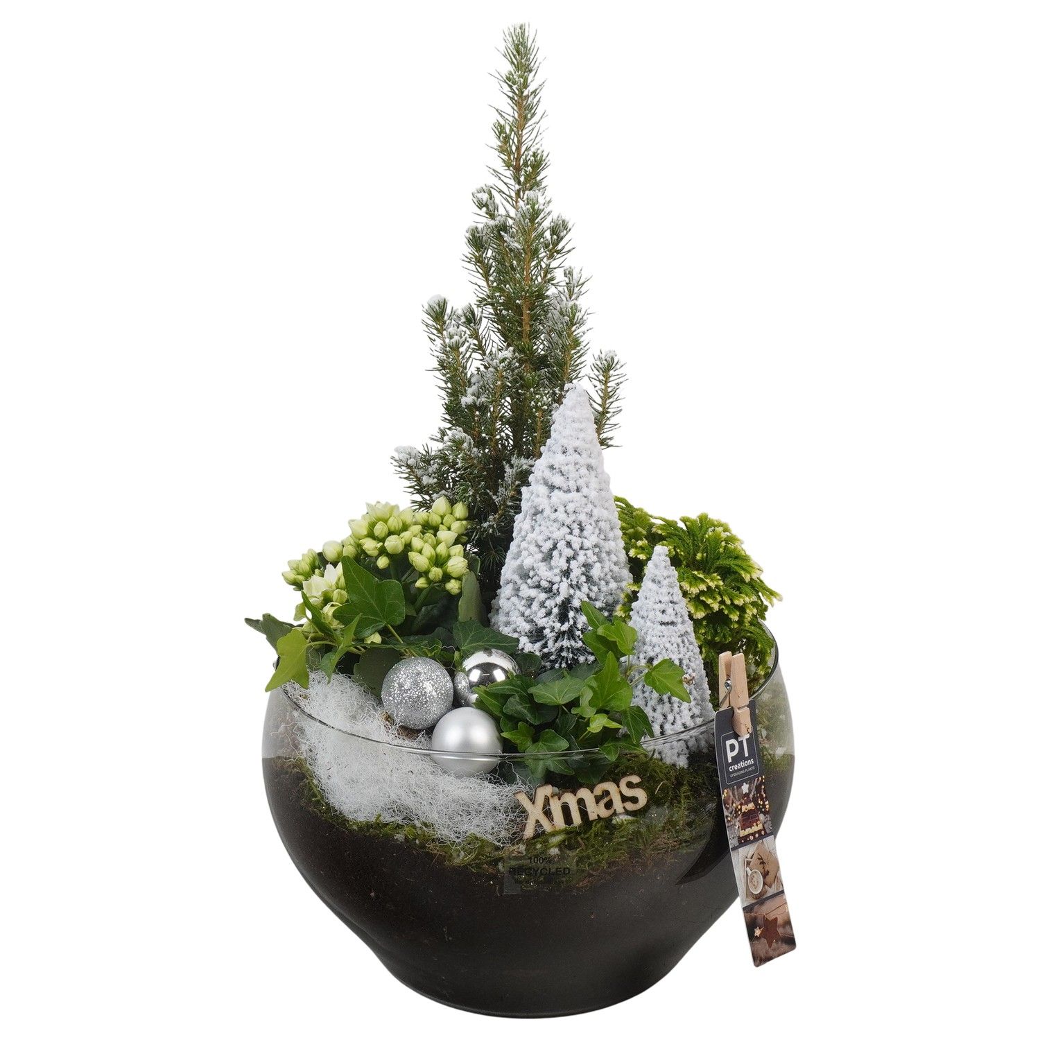 PTCHW4408 Arrangement Christmas White in glas schaal, D 23 cm
