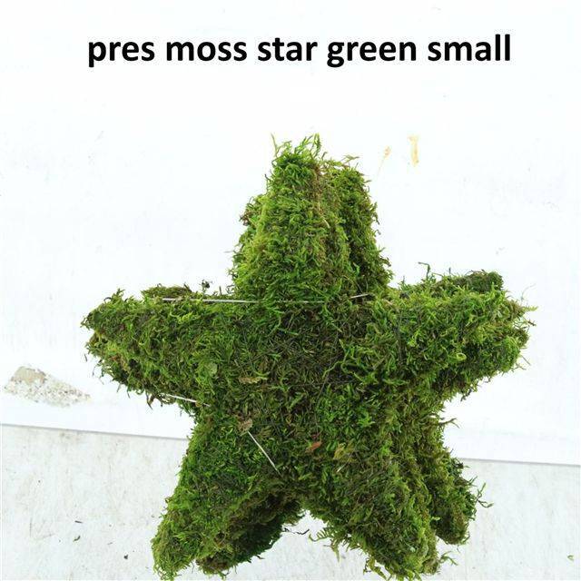 Мох Овериг Крашеный (краш. ), шт.