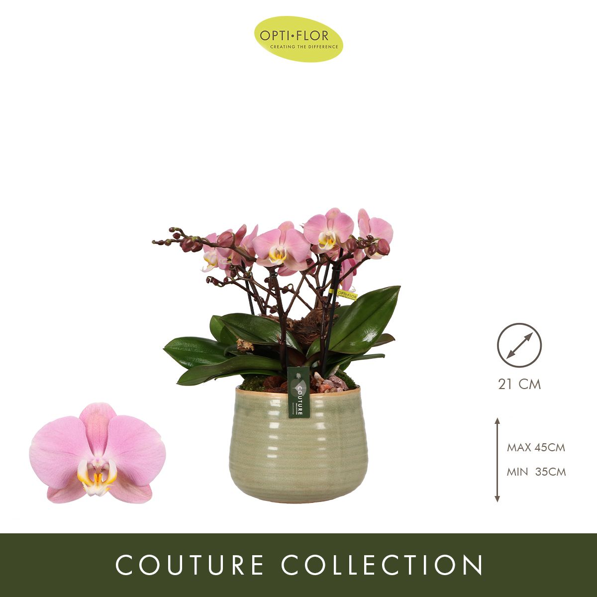 N°65 Tablo Cosmopolitan, D 21 cm N°65 Tablo Cosmopolitan, D 21 cm