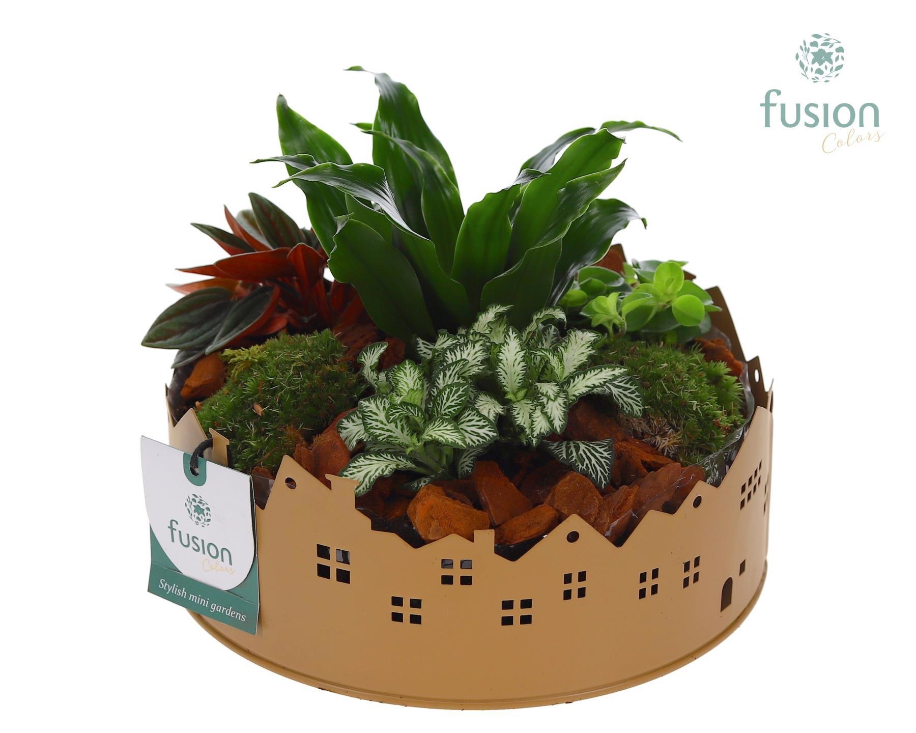 Zinken schaal Huisjes Medium met arrangement, D 19