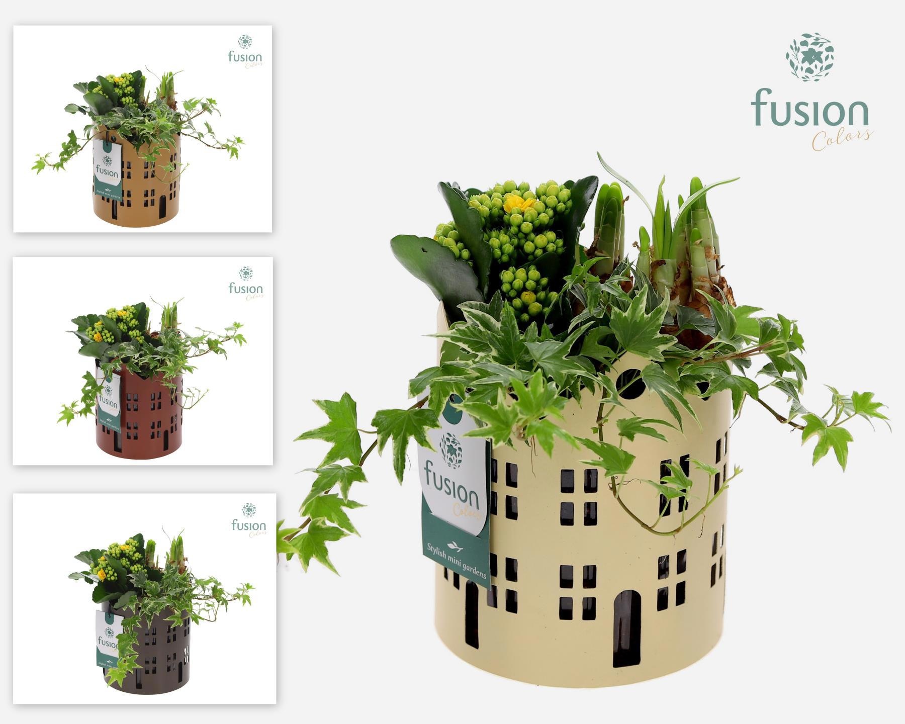 Zinken Huisjes planter met Arrangement, D 13 cm