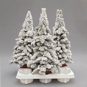 Abies paraffin, D 12