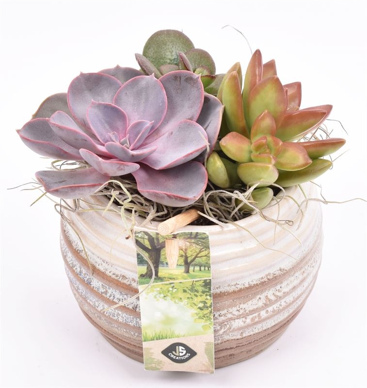 Keramiek sierpot bruin/creme10cm, D 10