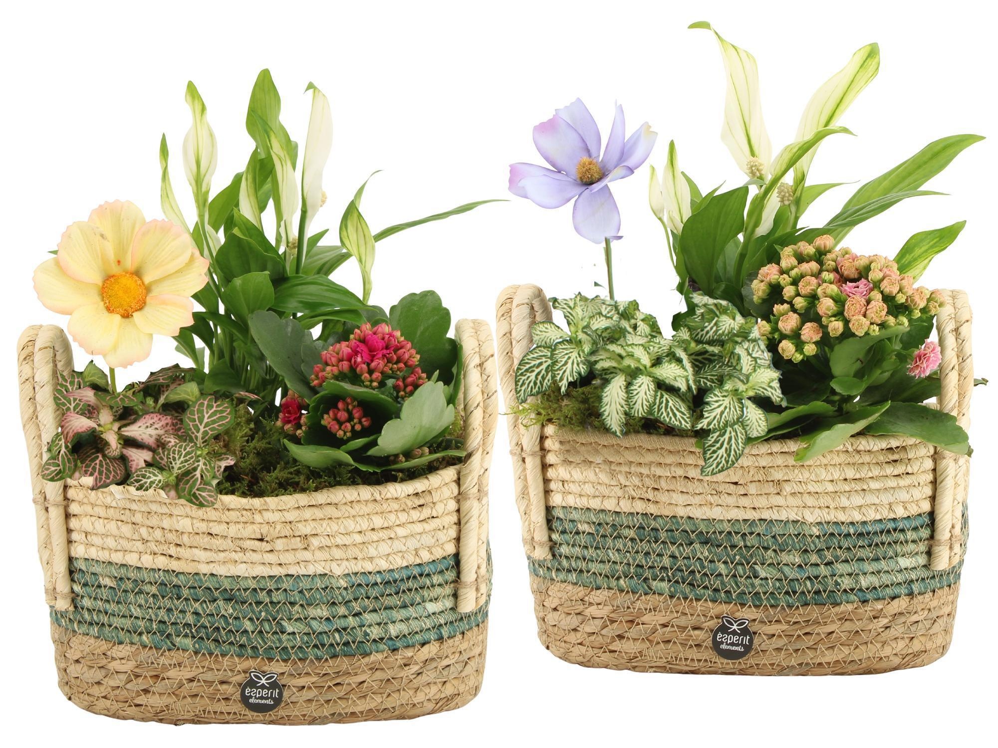 11597: Consideration arrangement, D 23