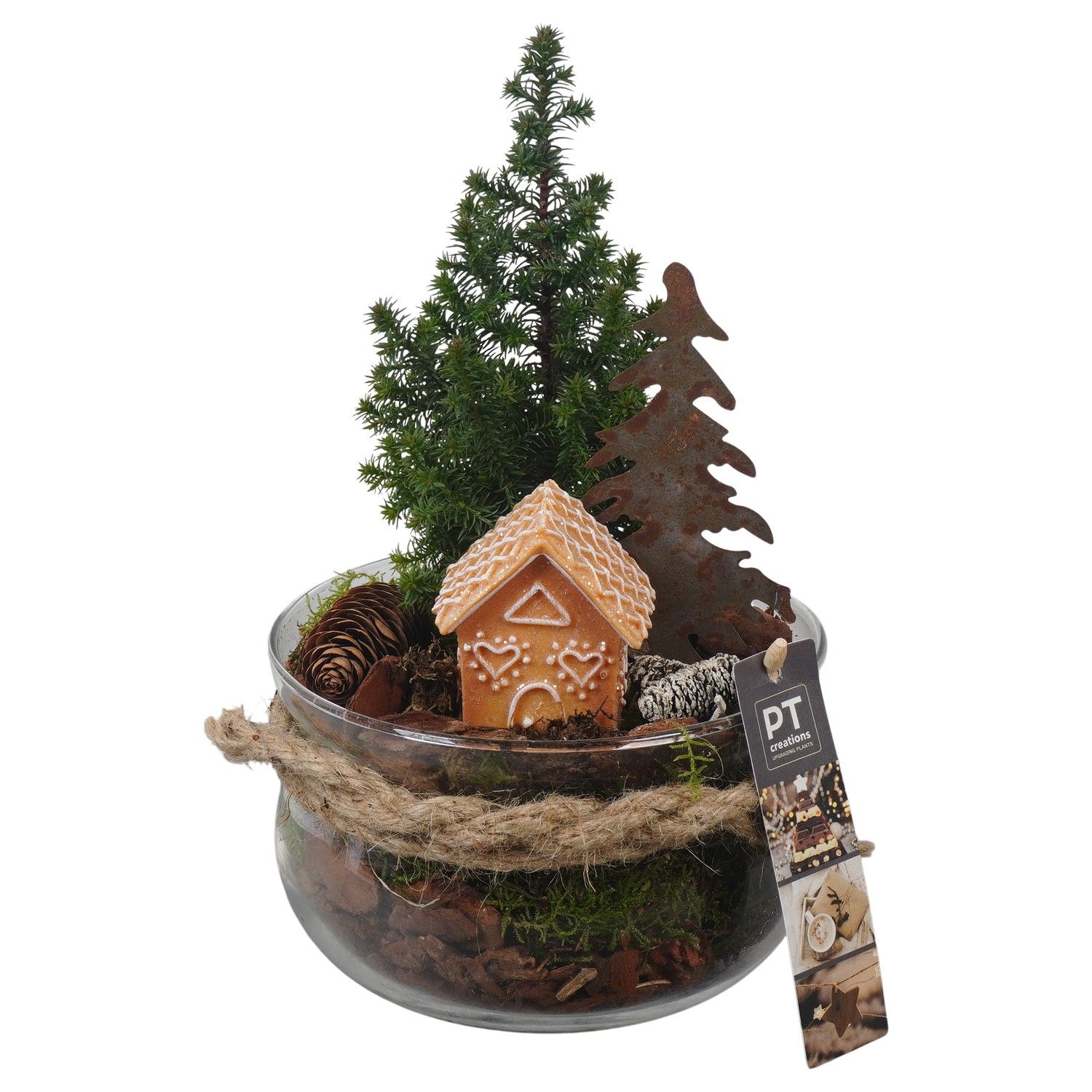 PTCWW6821 Arrangement Winter in glas schaal, D 16 cm