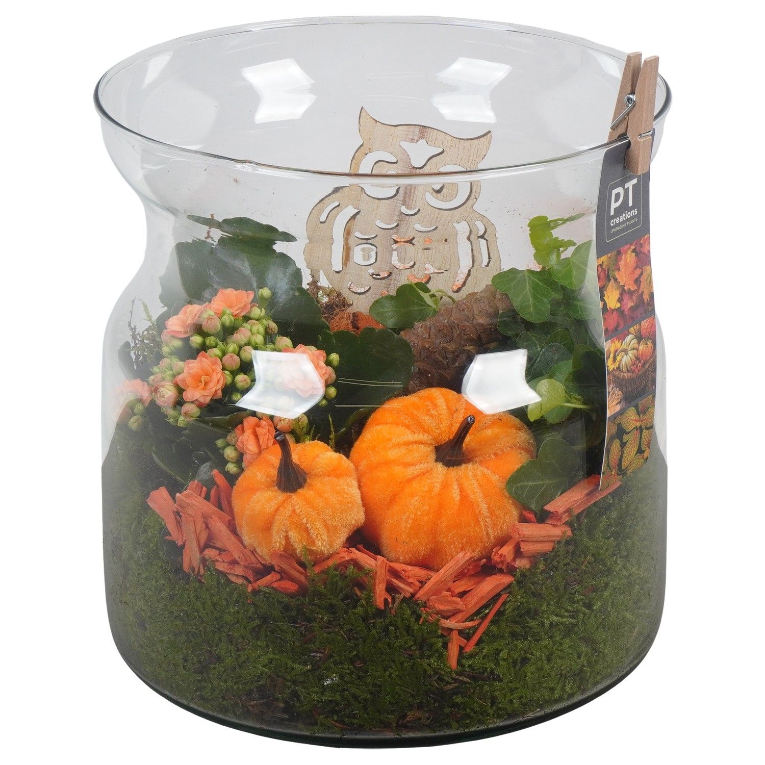 PTHG3359 Arrangement Autumn Glass in glas vaas, D 19 cm PTHG3359 Arrangement Autumn Glass in glas vaas, D 19 cm