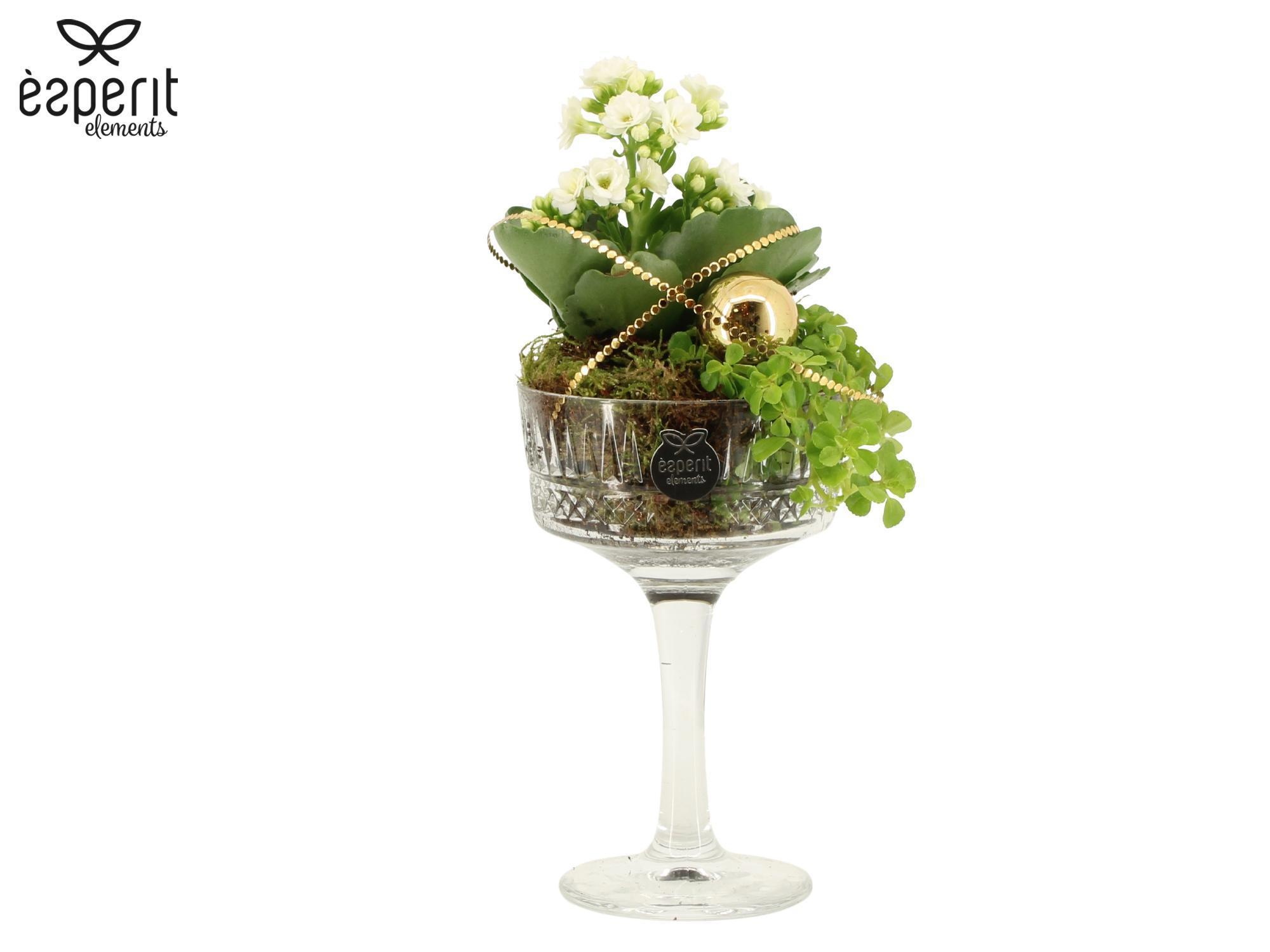 62056: X-mas arrangement, D 10