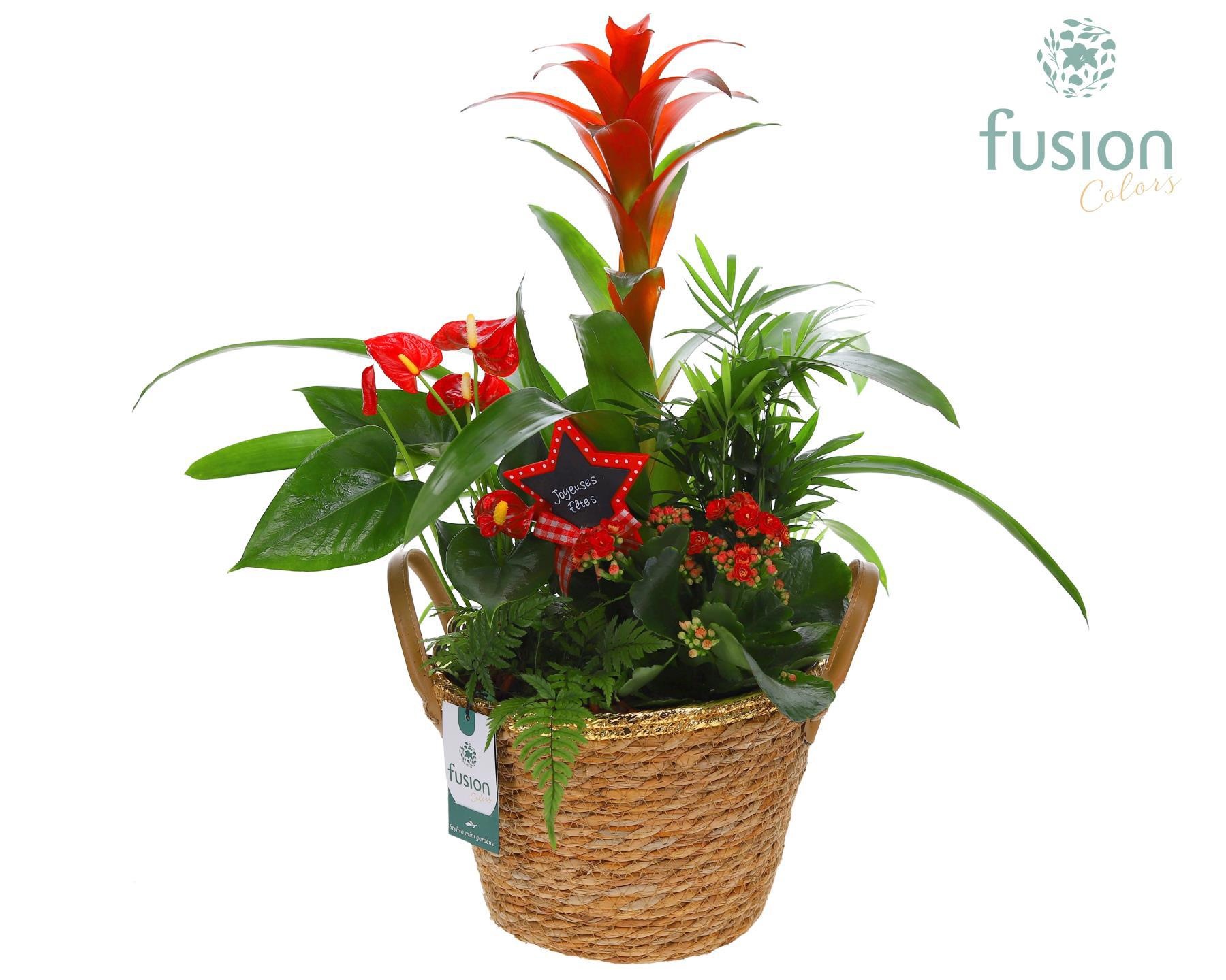 Mand Zeegras Kerst met arrangement, D 24 cm Mand Zeegras Kerst met arrangement, D 24 cm