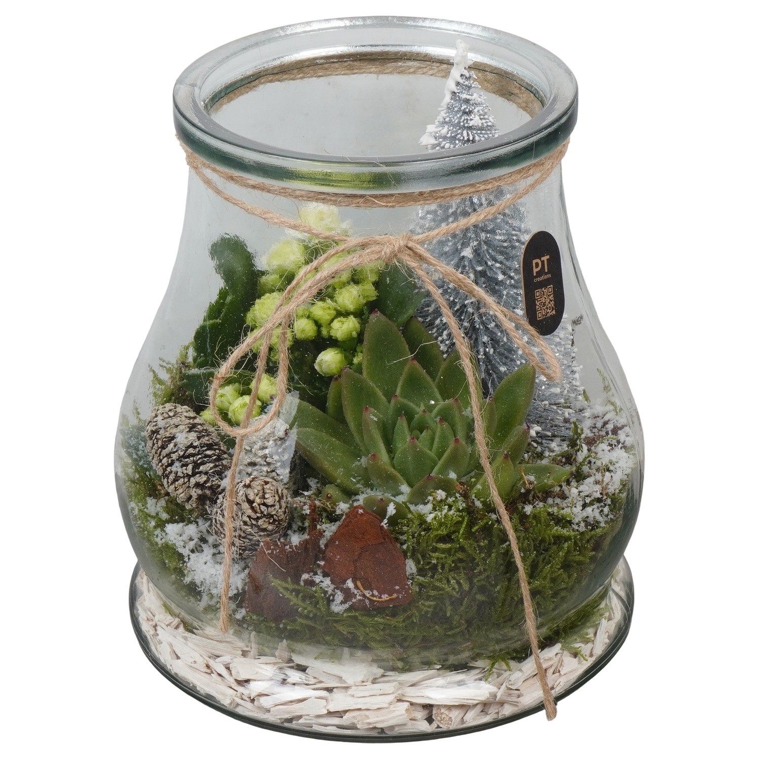 PTCHW7930 Arrangement Christmas White in glazen vaas, D 16