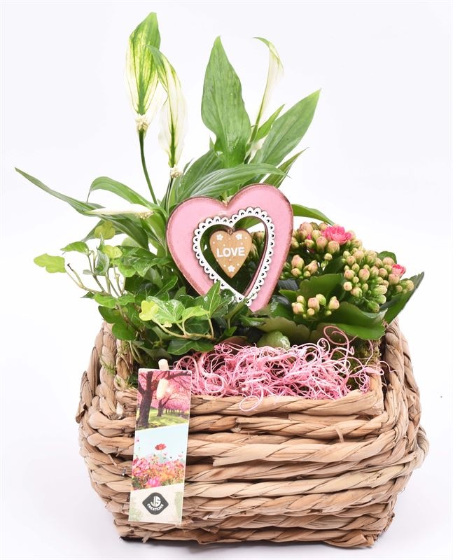 Touwmand 20x20cm, D 20