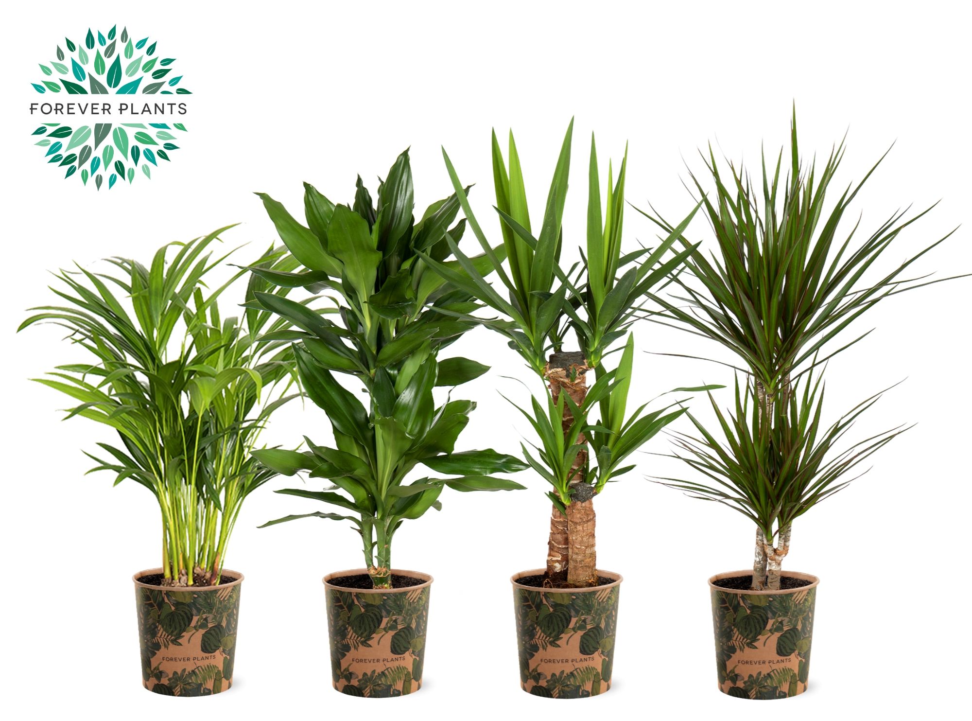 Groen Mix p17 in SIERCUP GREEN JEWELS, D 17 cm