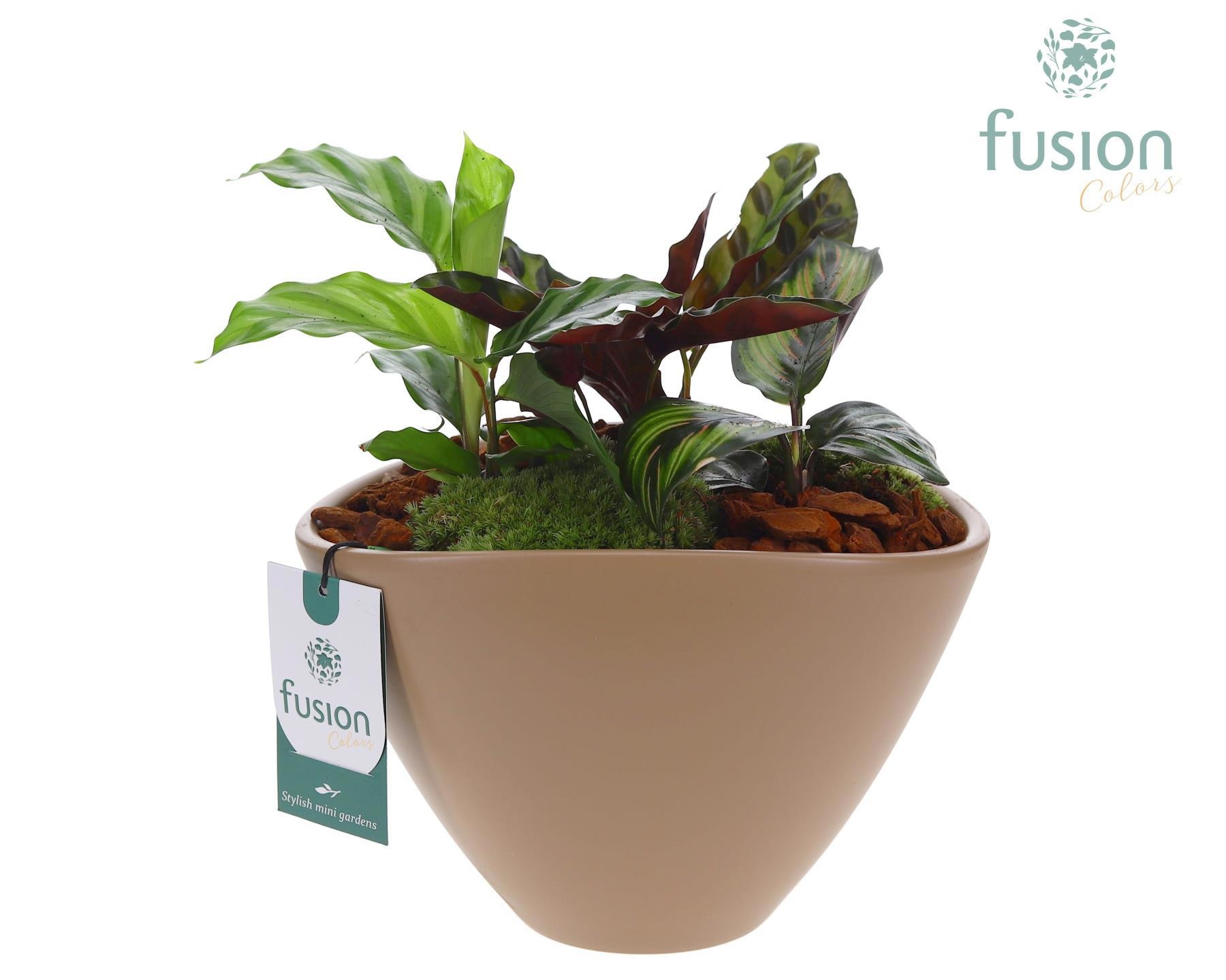 Pot keramiek ovaal Large beige met arrangement, D 23